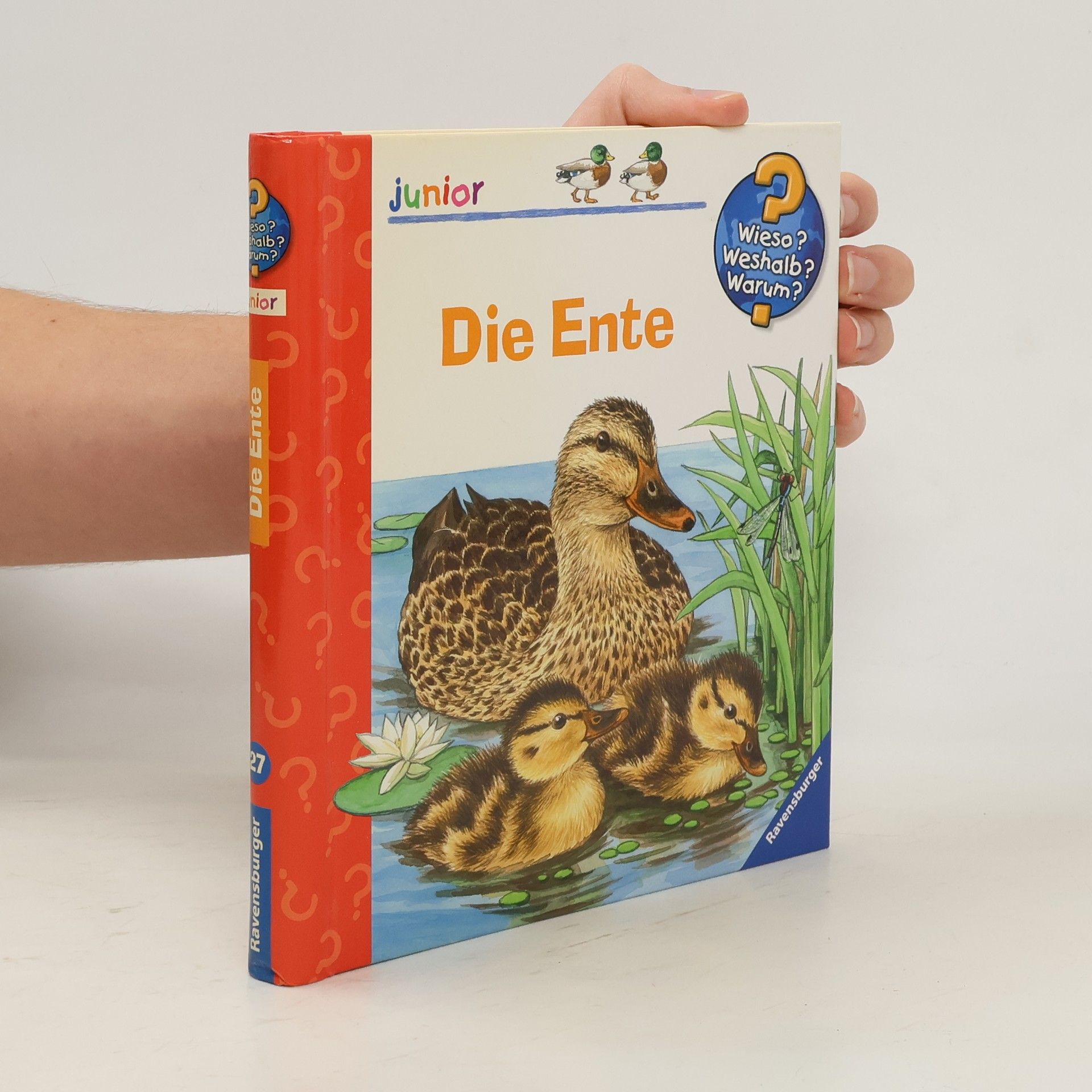 Ursula Weller Die Ente