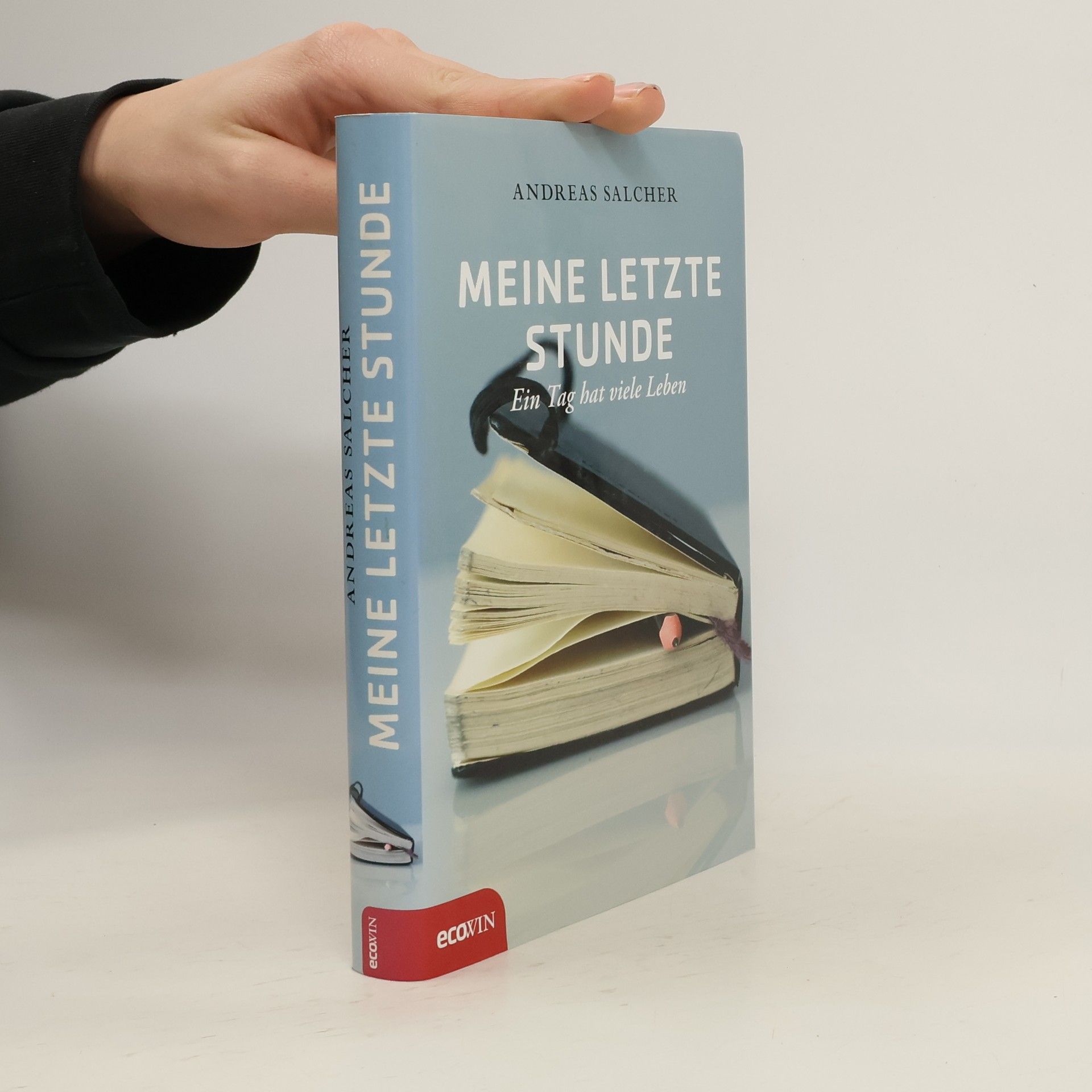 Andreas Salcher Meine letzte Stunde