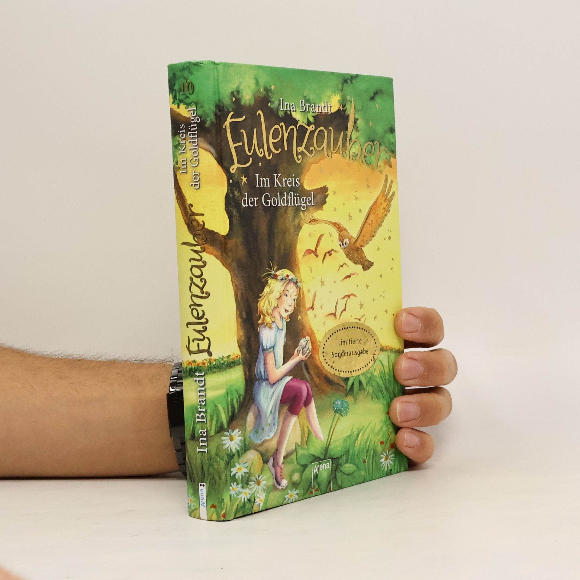 Ina Brandt Im Kreis der Goldflügel