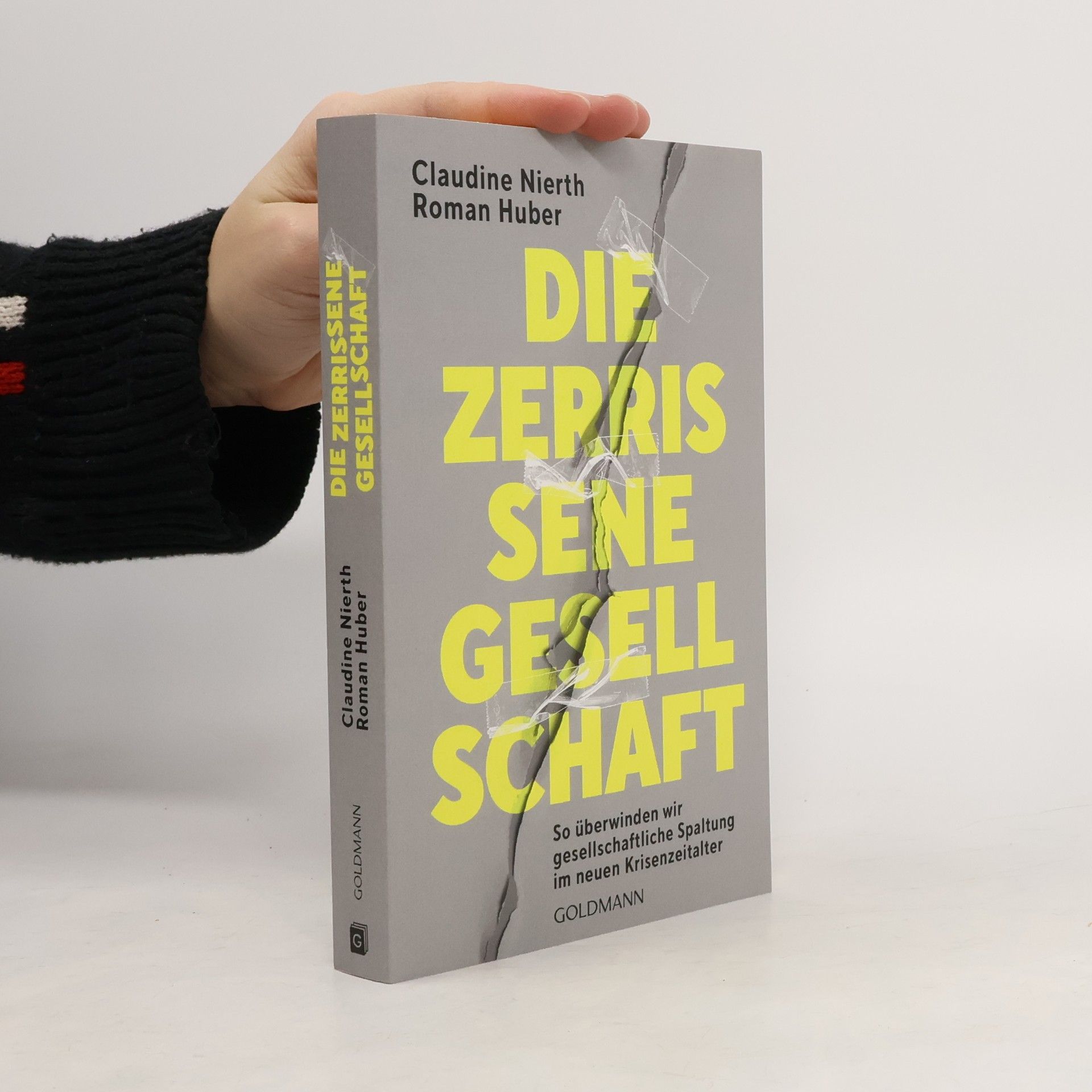 Claudine Nierth Die zerrissene Gesellschaft