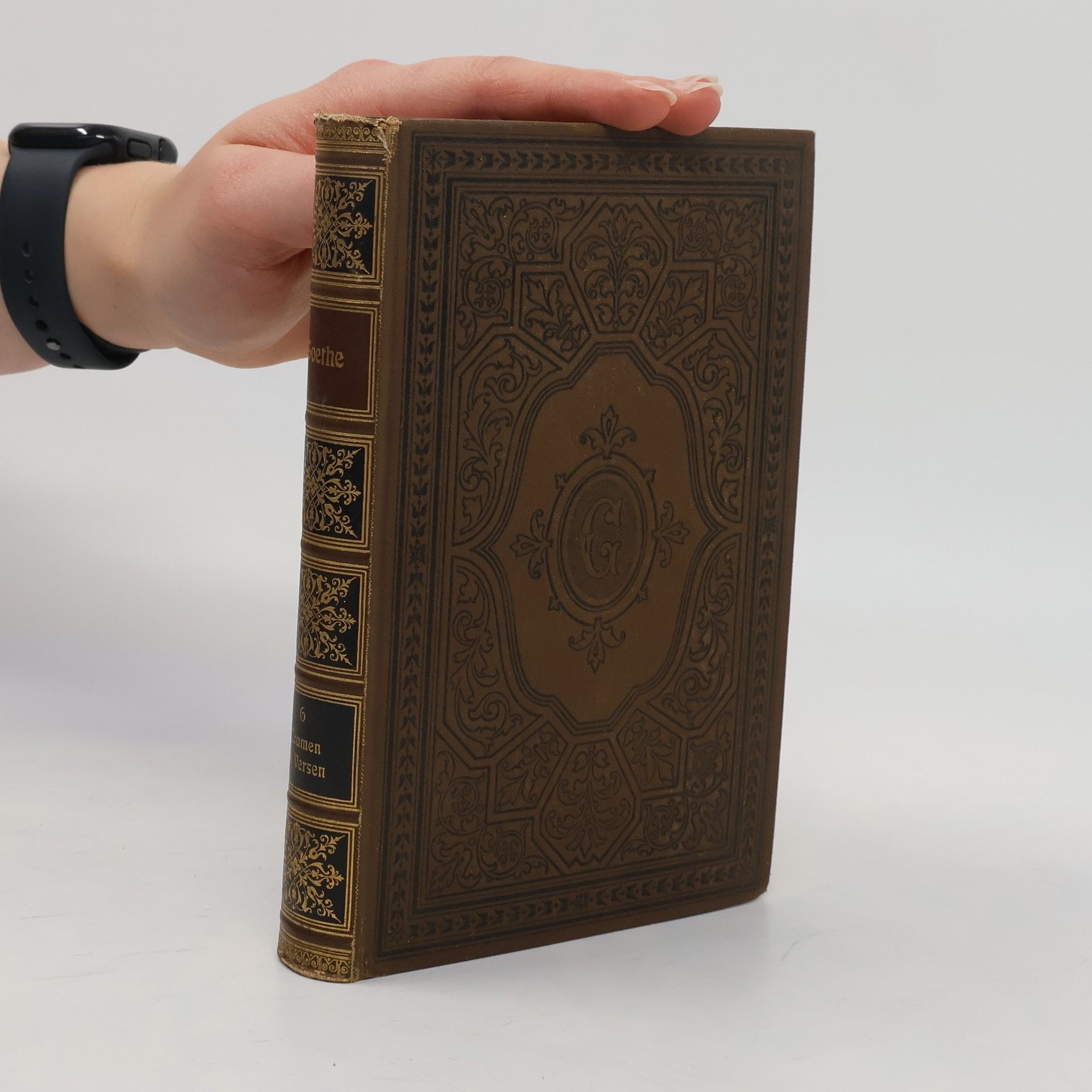 Goethes Werke VI. Band