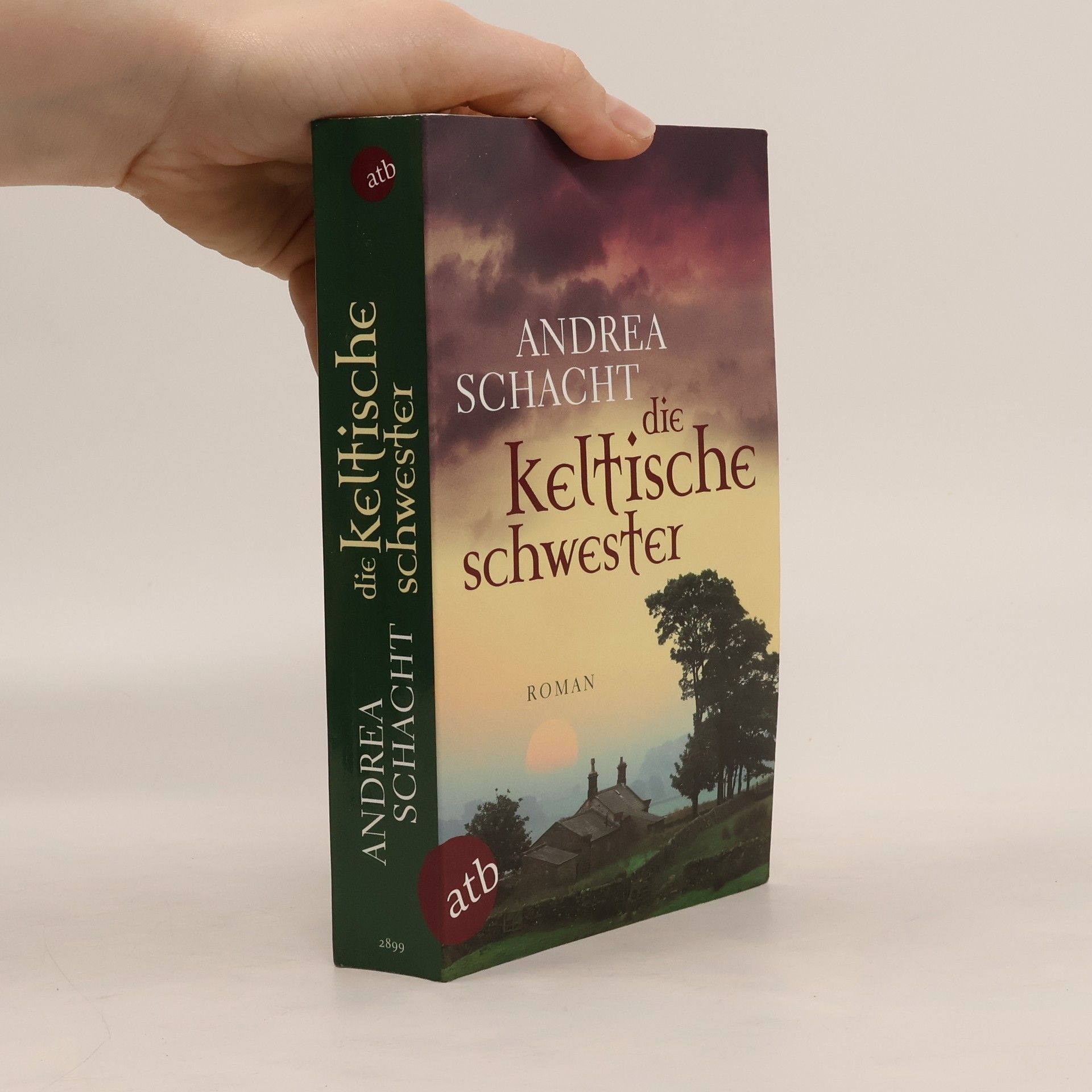 Andrea Schacht Die keltische Schwester
