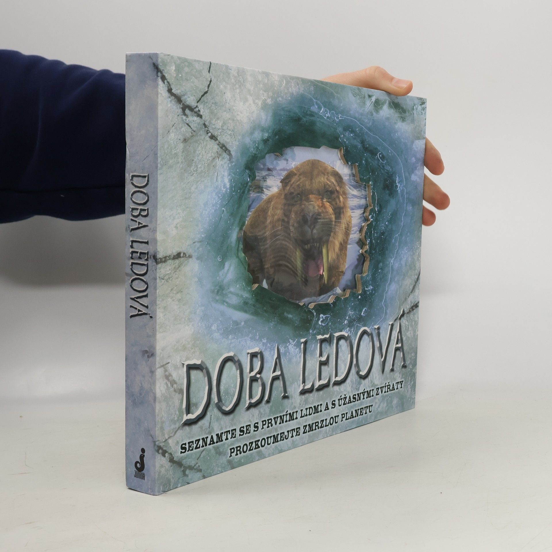 Stewart Ross Doba ledová: Seznamte se s prvními lidmi a s úžasnými zvířaty, prozkoumejte zmrzlou planetu