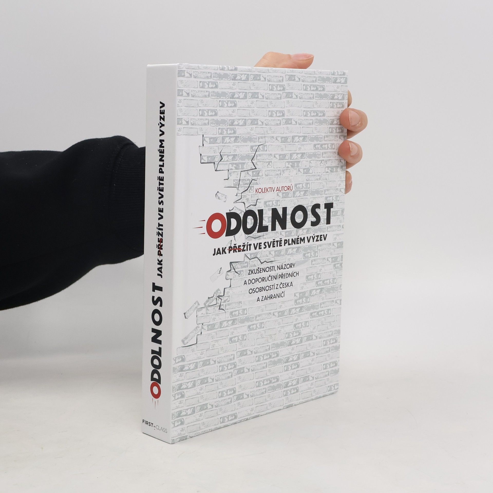 Kolektiv autorů Odolnost