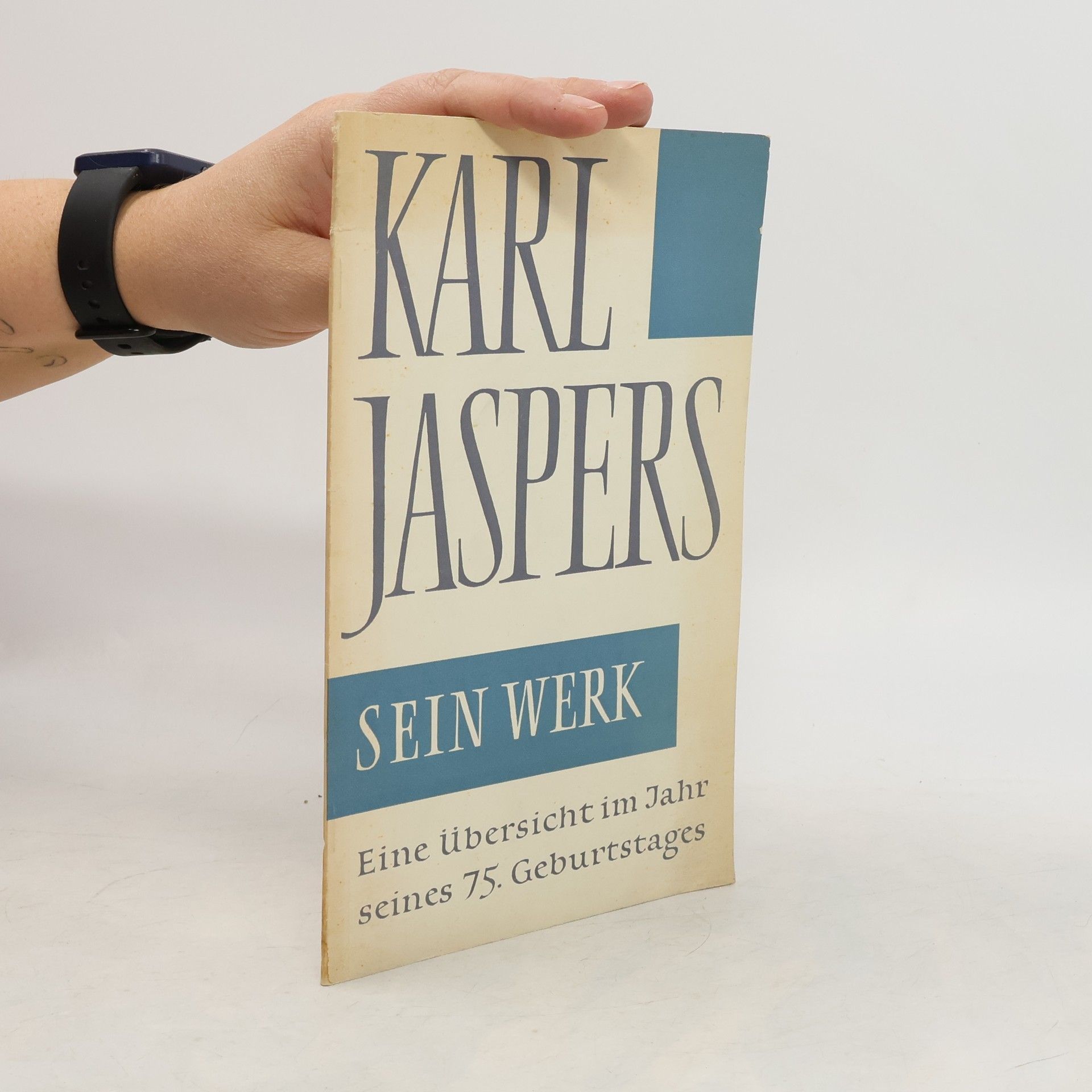 Karl Jaspers Sein Werk
