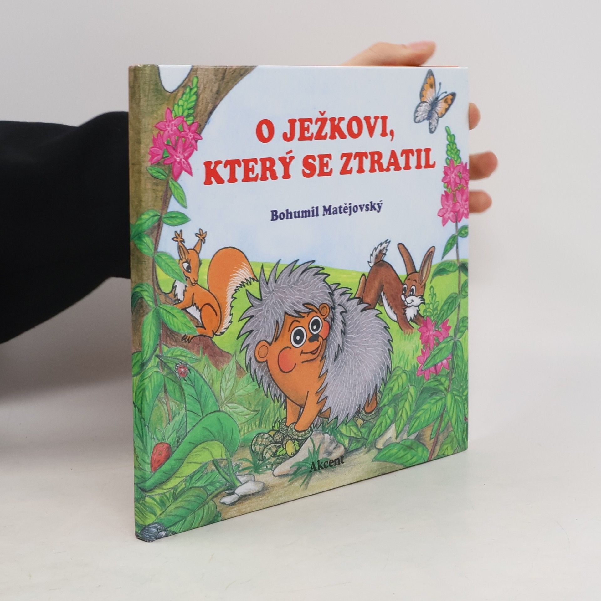 O ježkovi, který se ztratil