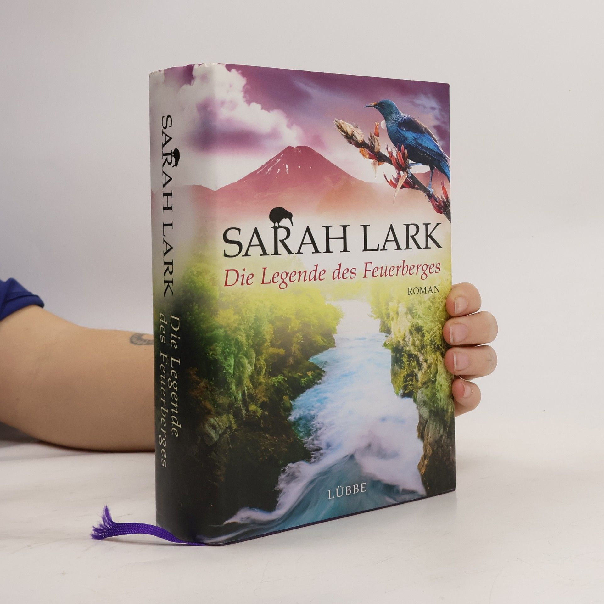 Christiane Gohl Die Legende des Feuerberges