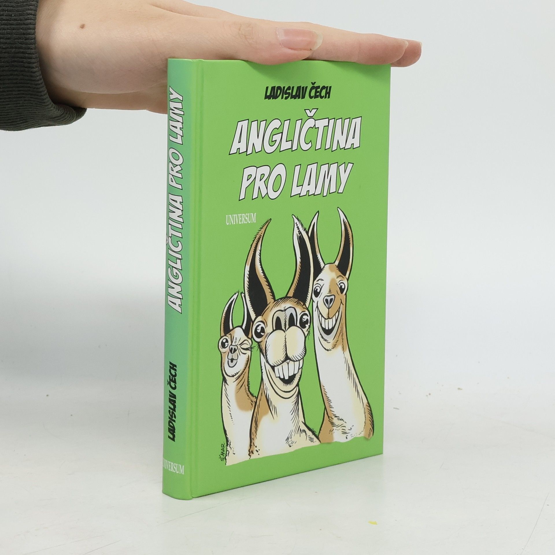 Ladislav Čech Angličtina pro lamy