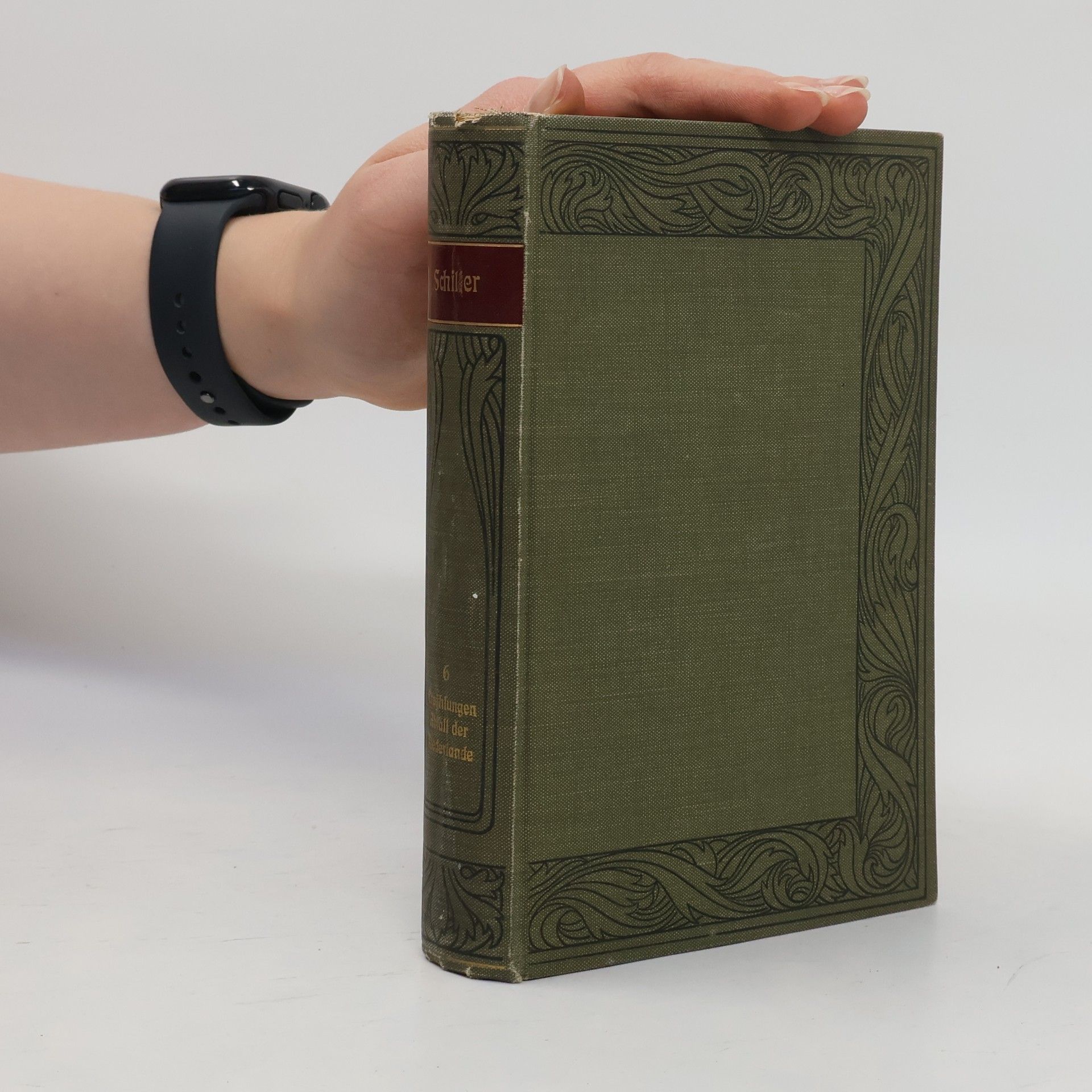 Schillers Werke 6