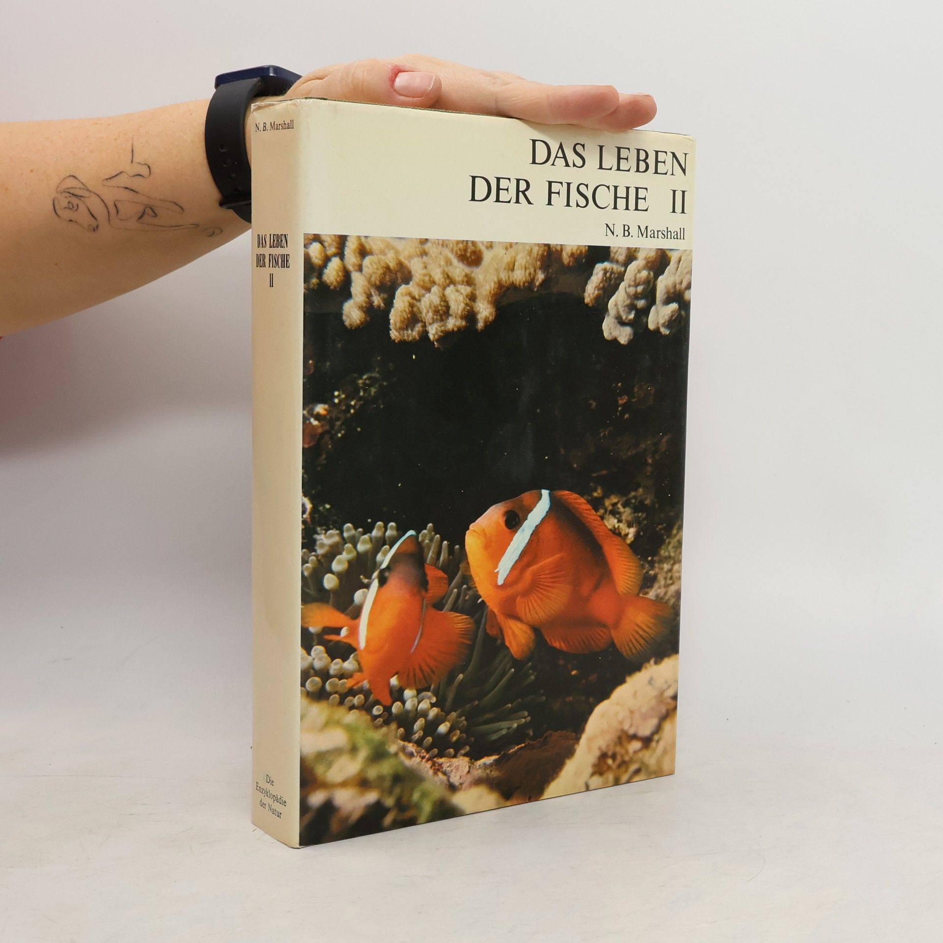 Das Leben der Fische II