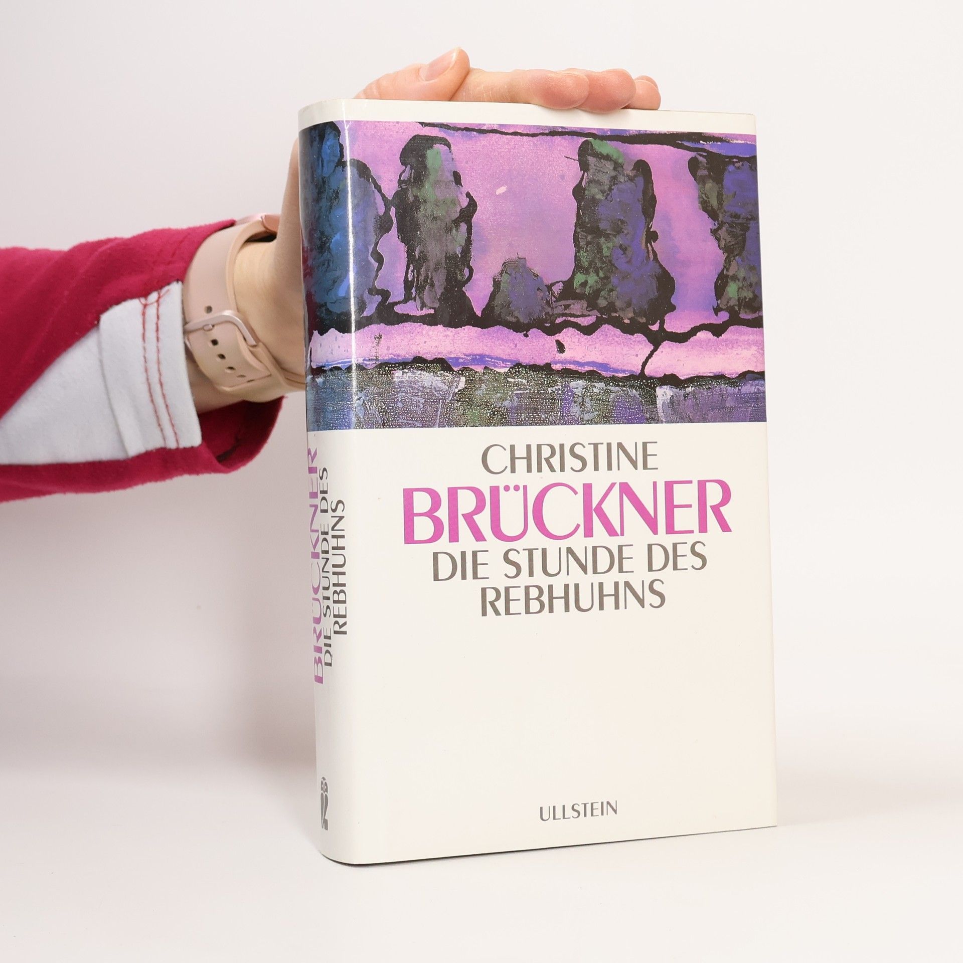 Christine Brückner Die Stunde des Rebhuhns