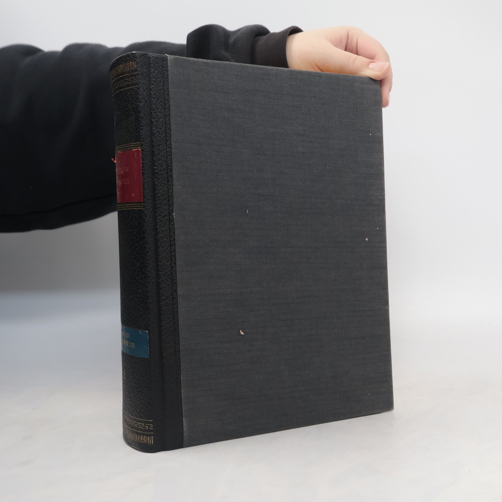 Otto von Simson Das Mittelalter