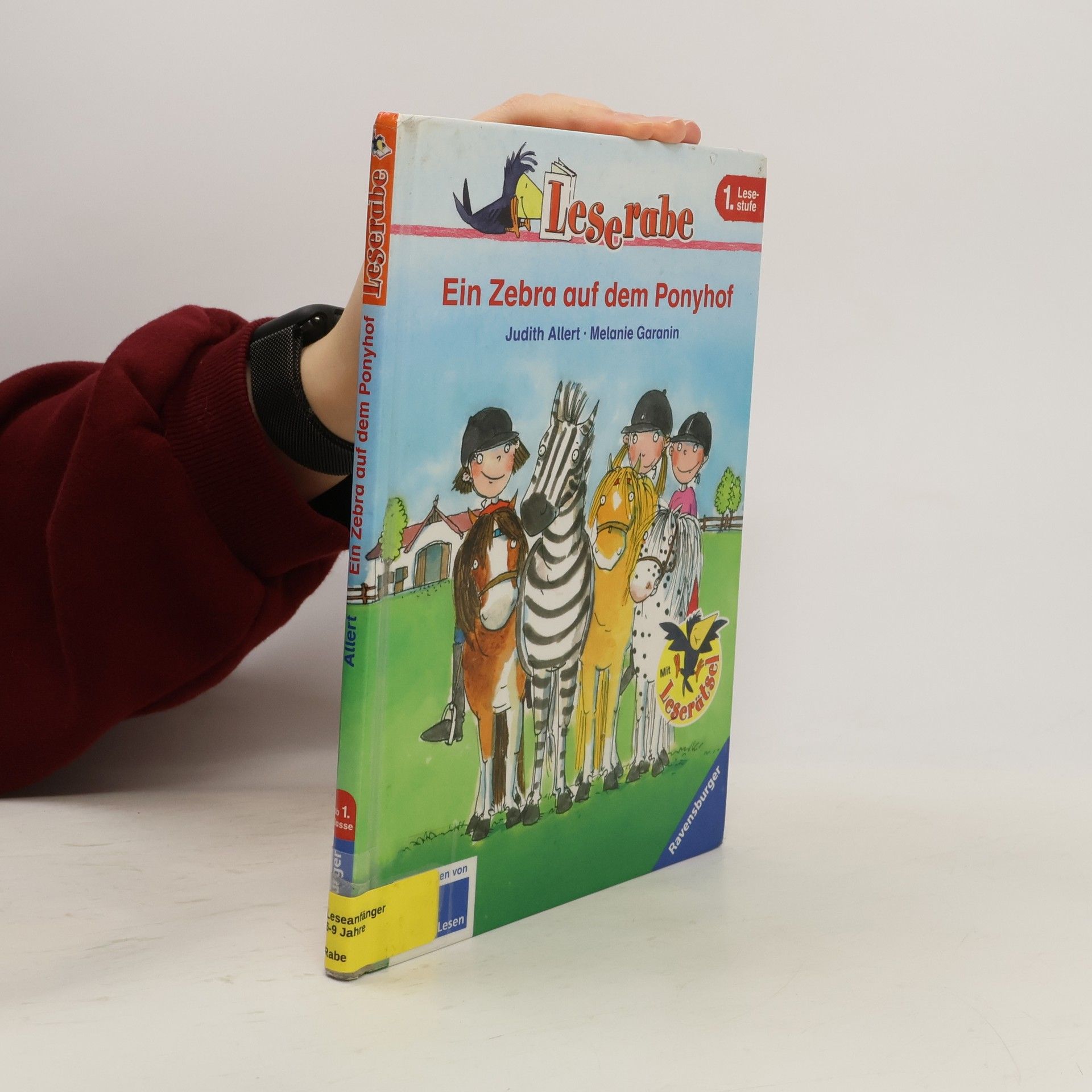 Judith Allert Ein Zebra auf dem Ponyhof