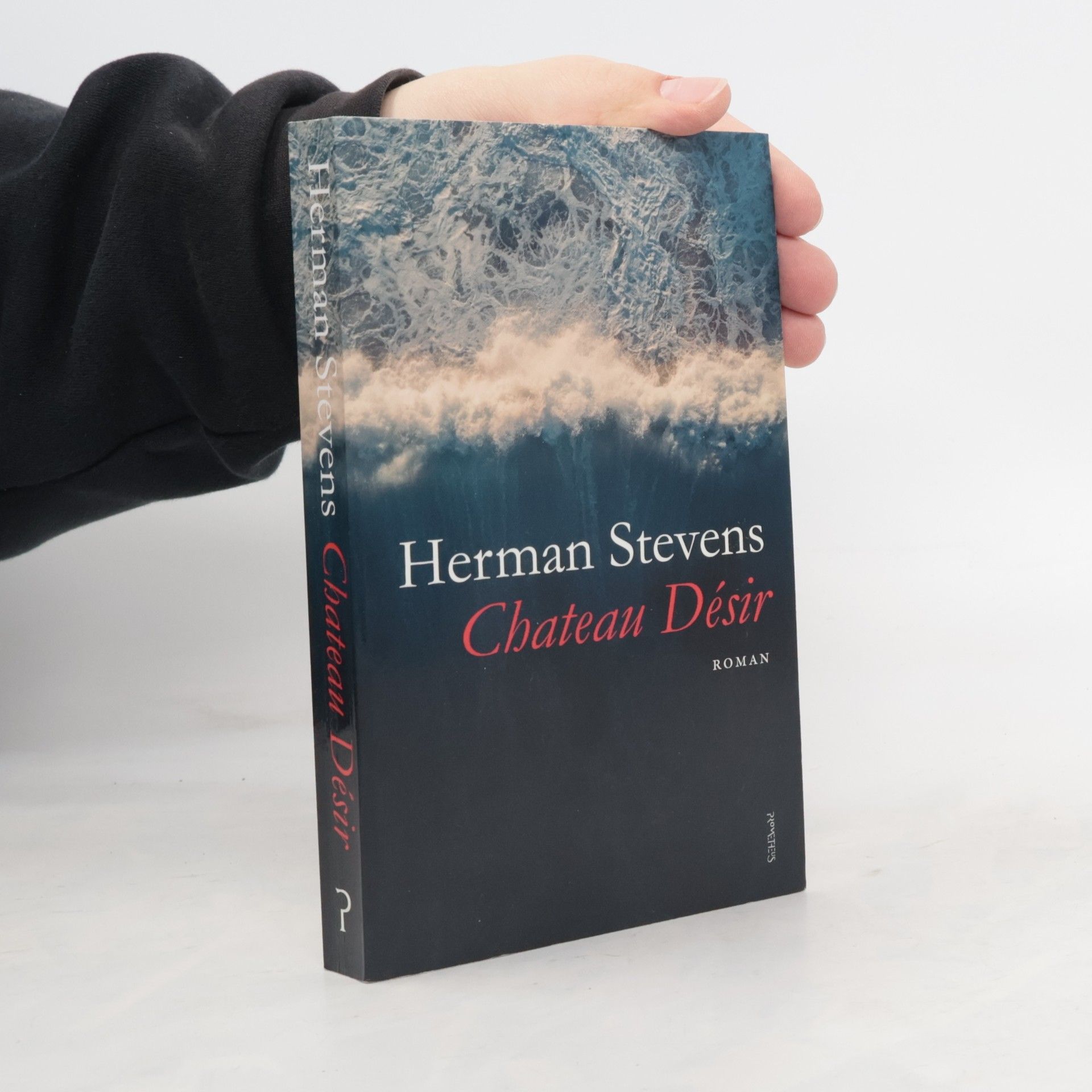 Herman Stevens Chateau Désir