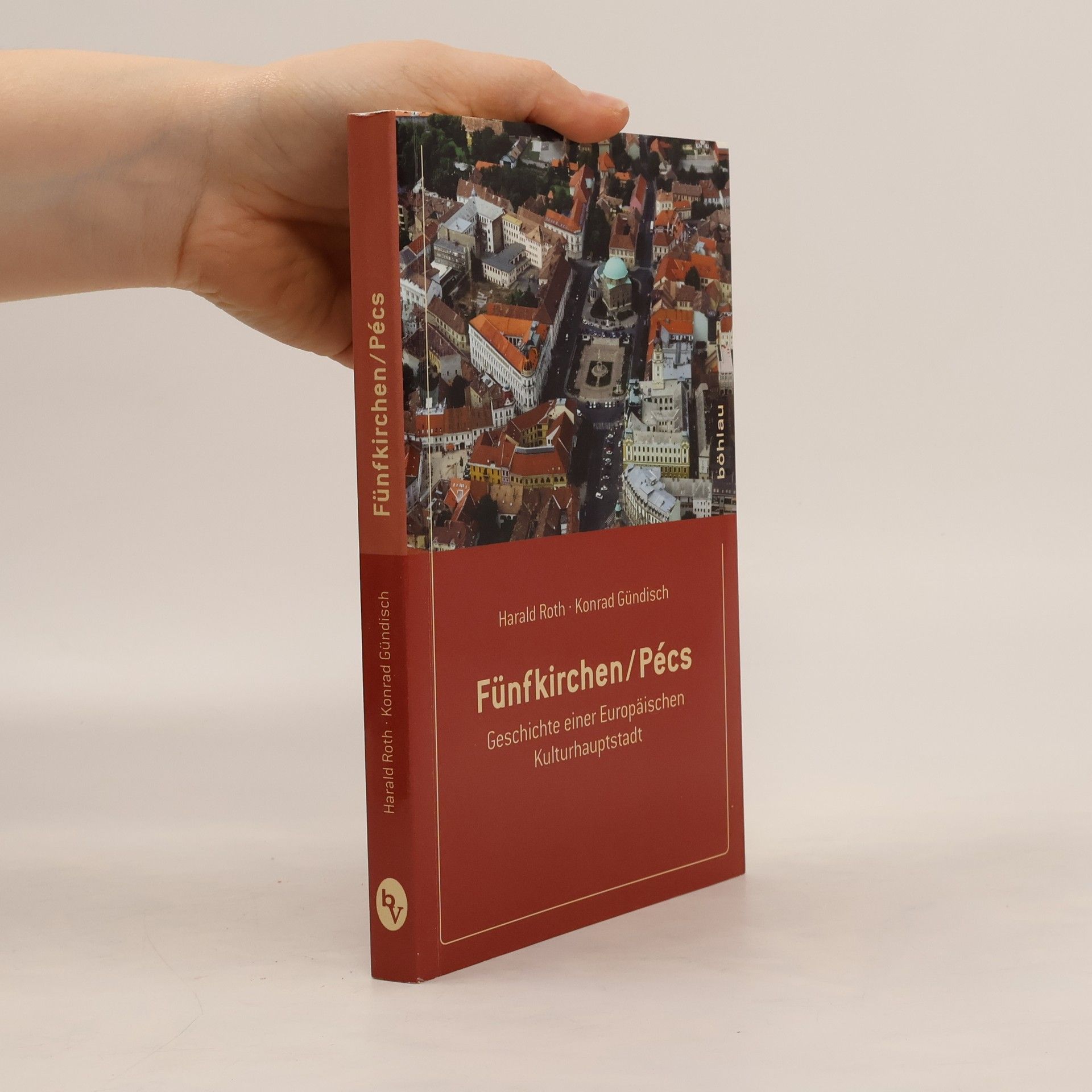 Harald Roth Fünfkirchen, Pécs
