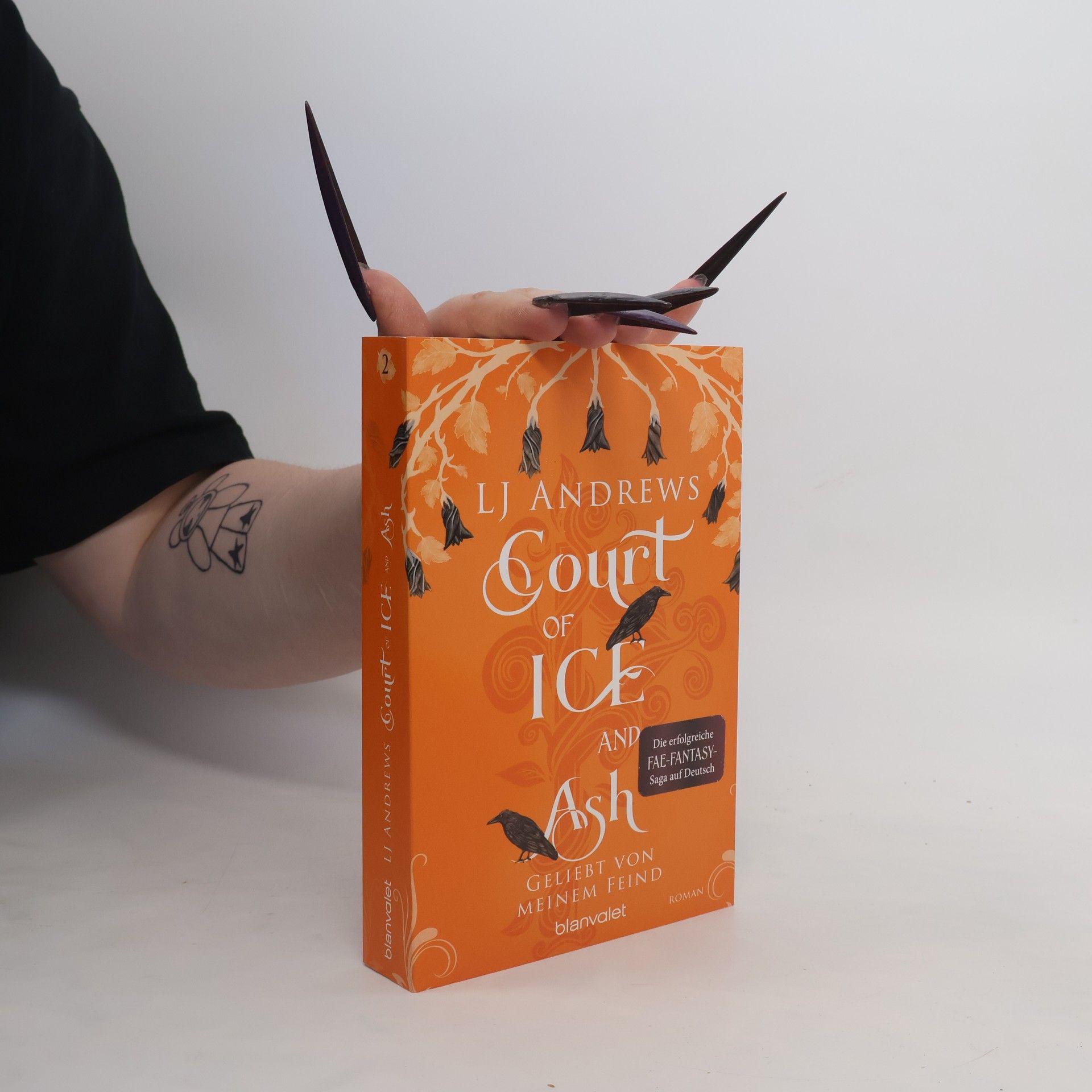 Court of Ice and Ash - Geliebt von meinem Feind