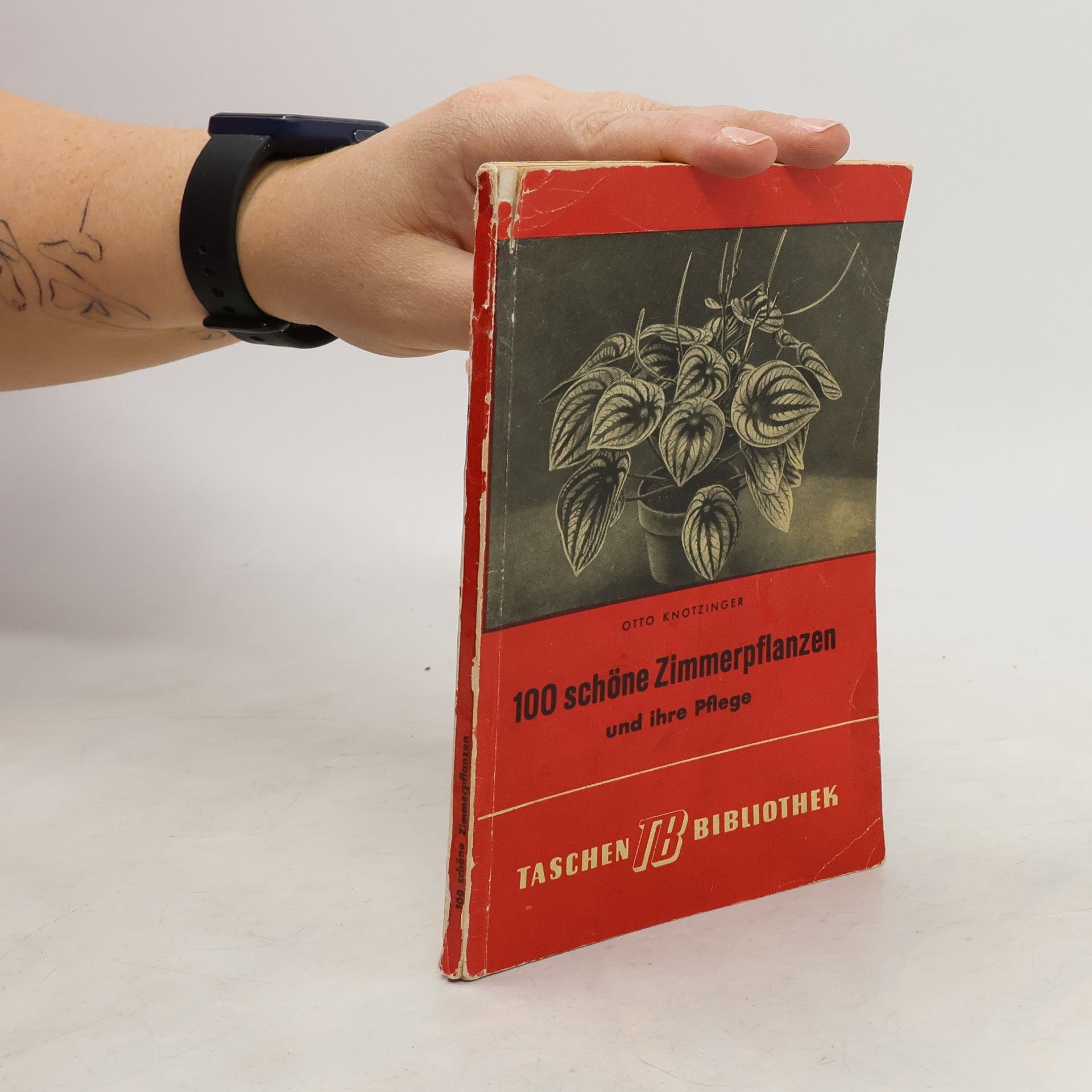 Otto Knotzinger 100 schöne Zimmerpflanzen und ihre Pflege