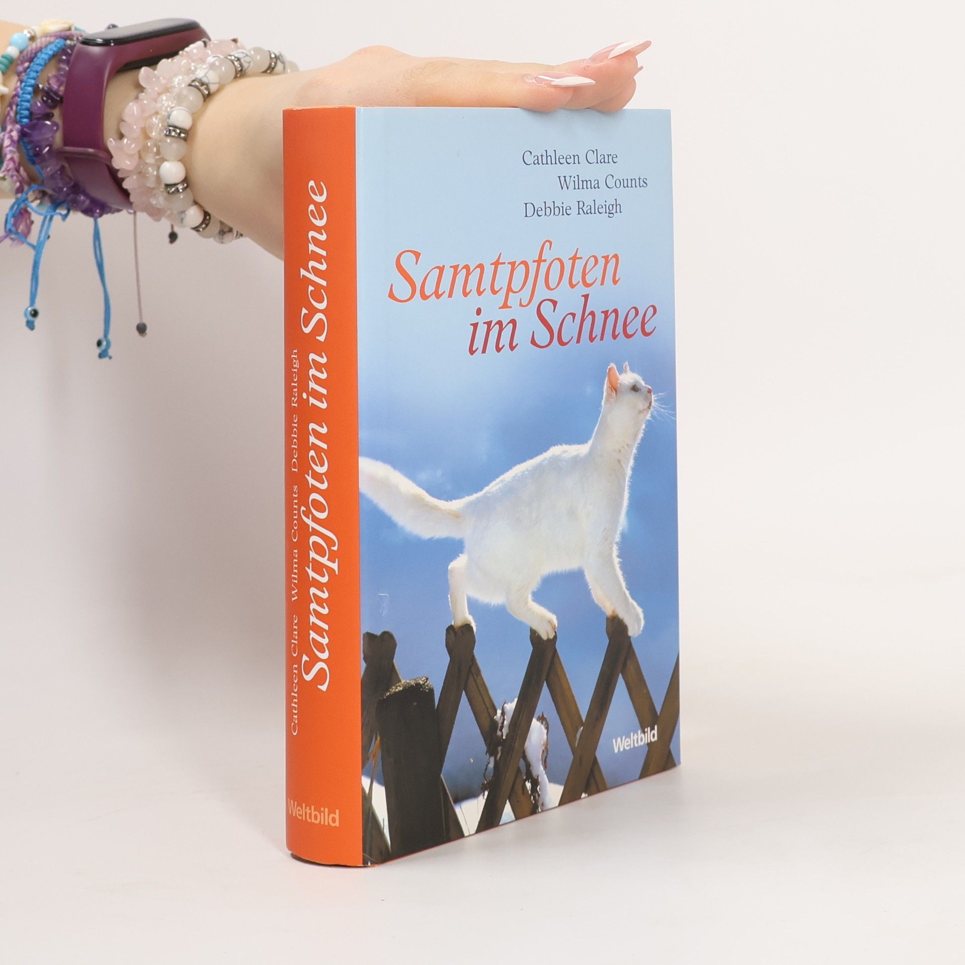 Samtpfoten im Schnee