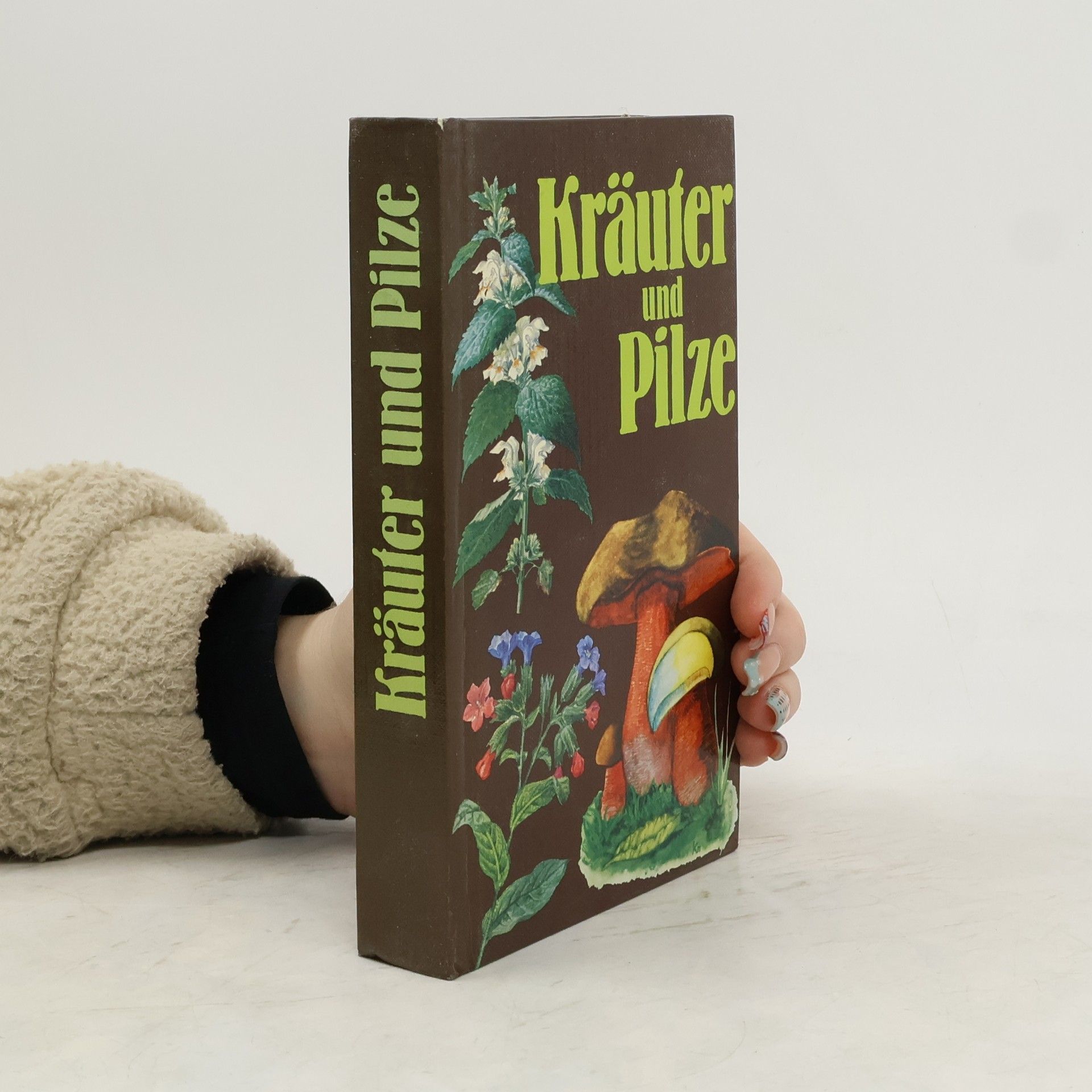 Autorenkollektiv Kräuter und Pilze