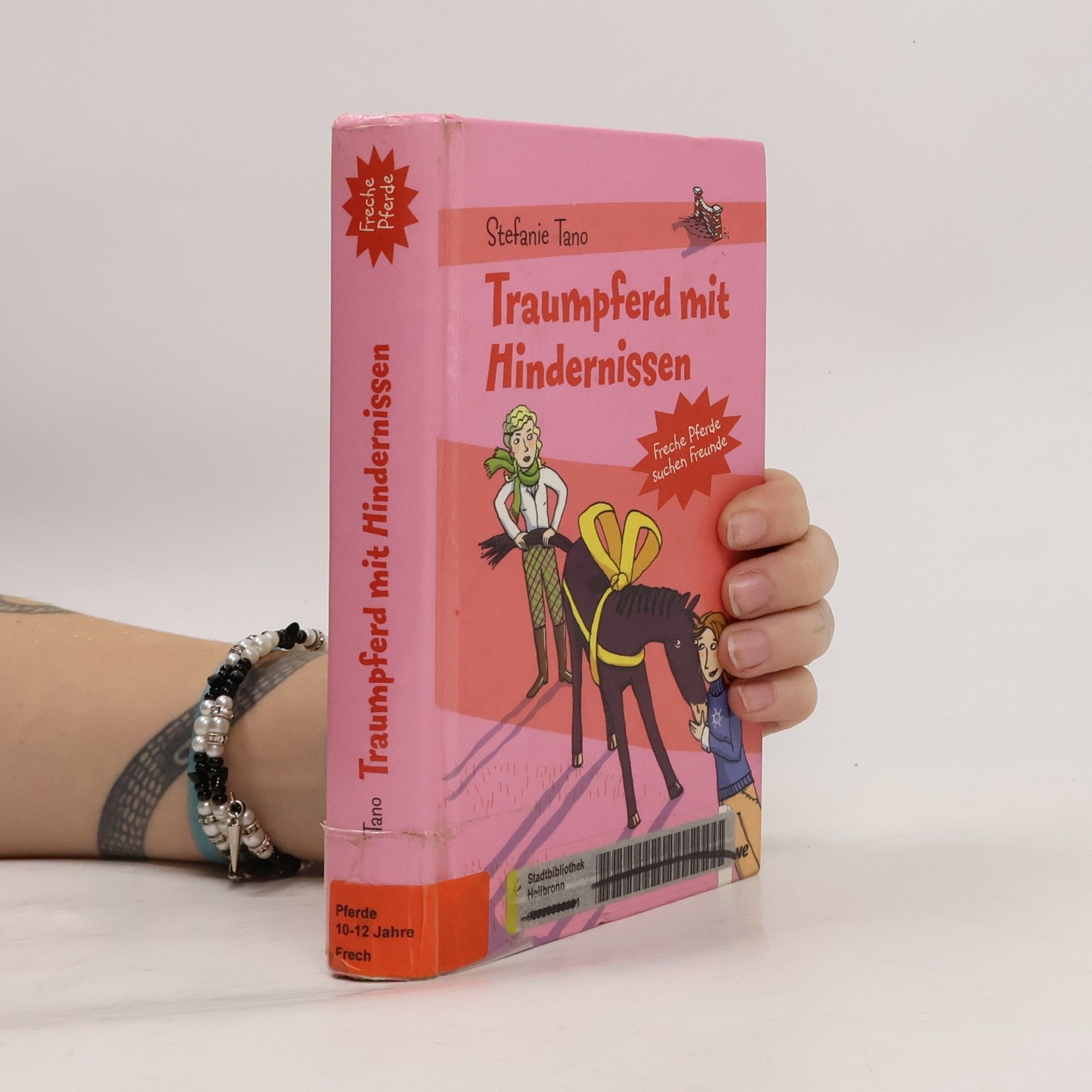 Traumpferd mit Hindernissen