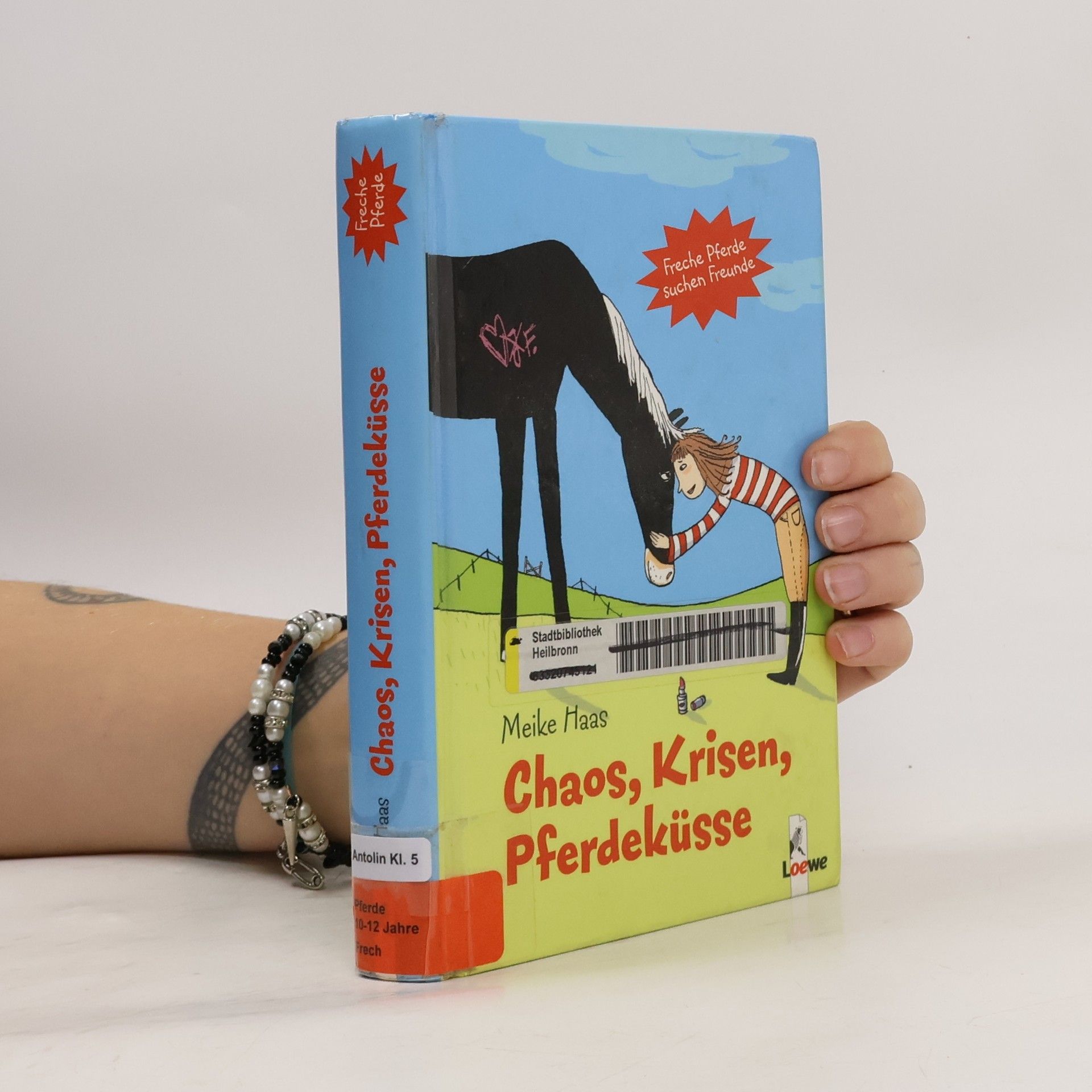 Chaos, Krisen, Pferdeküsse