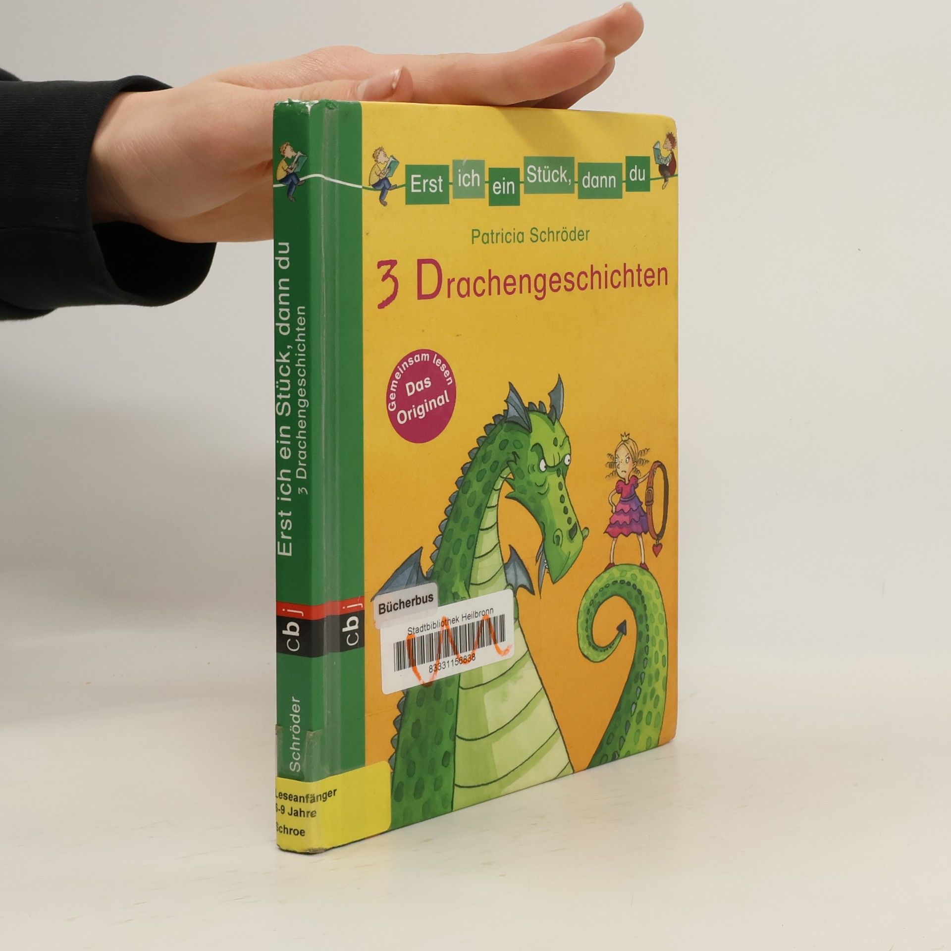 Patricia Schröder 3 Drachengeschichten