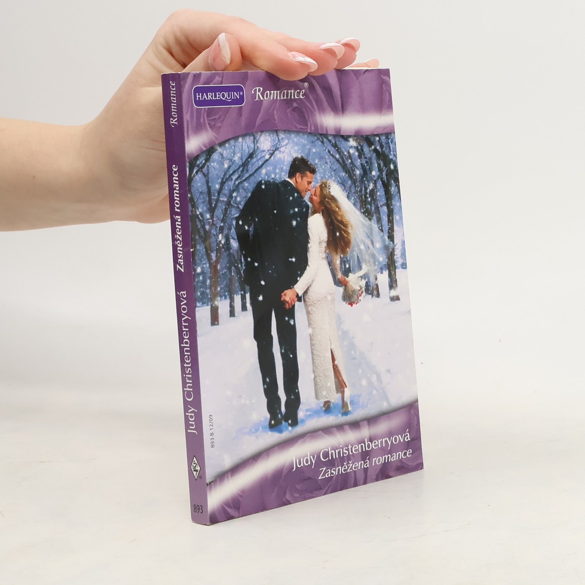 Judy Christenberry Zasněžená romance