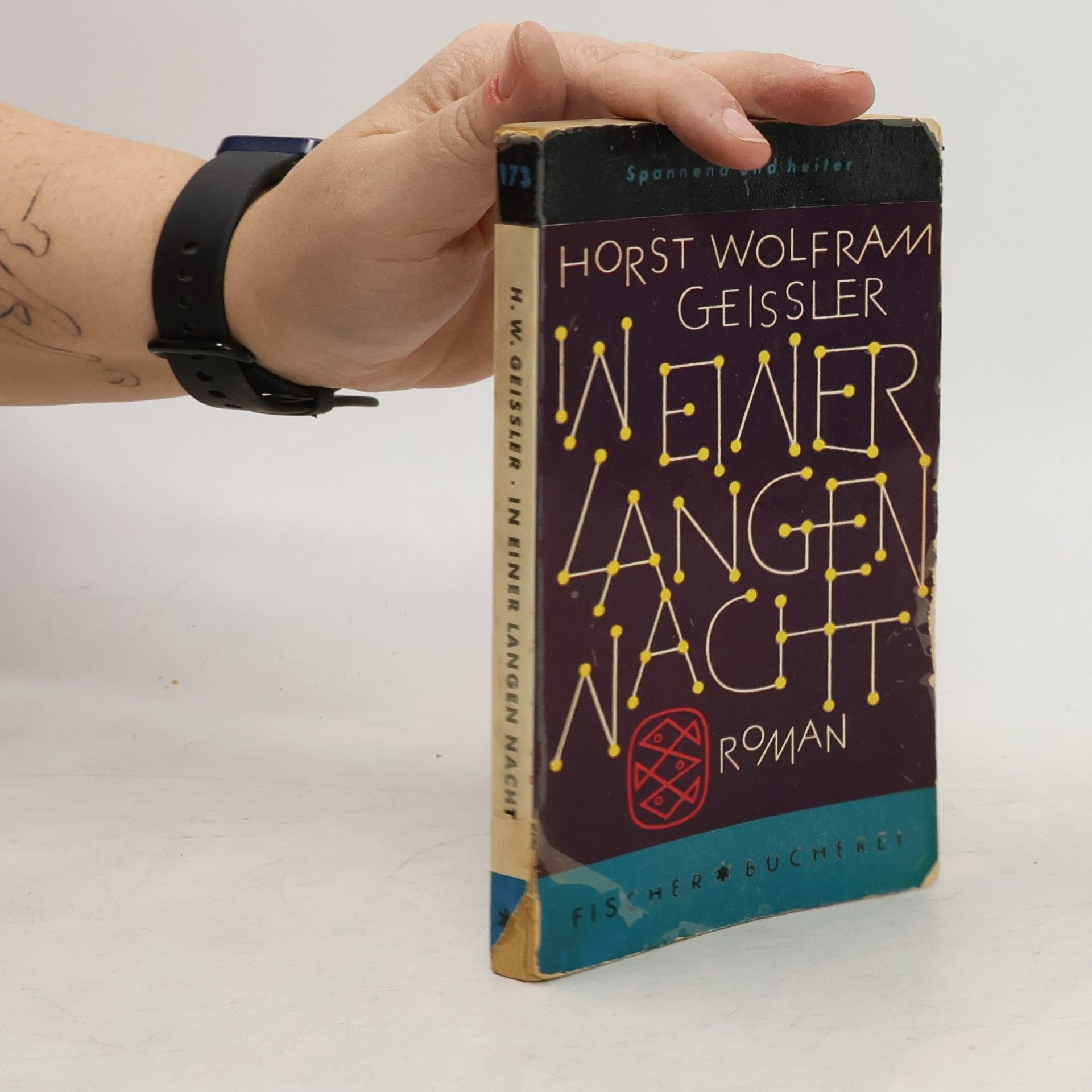 Horst Wolfram Geißler In einer langen Nacht