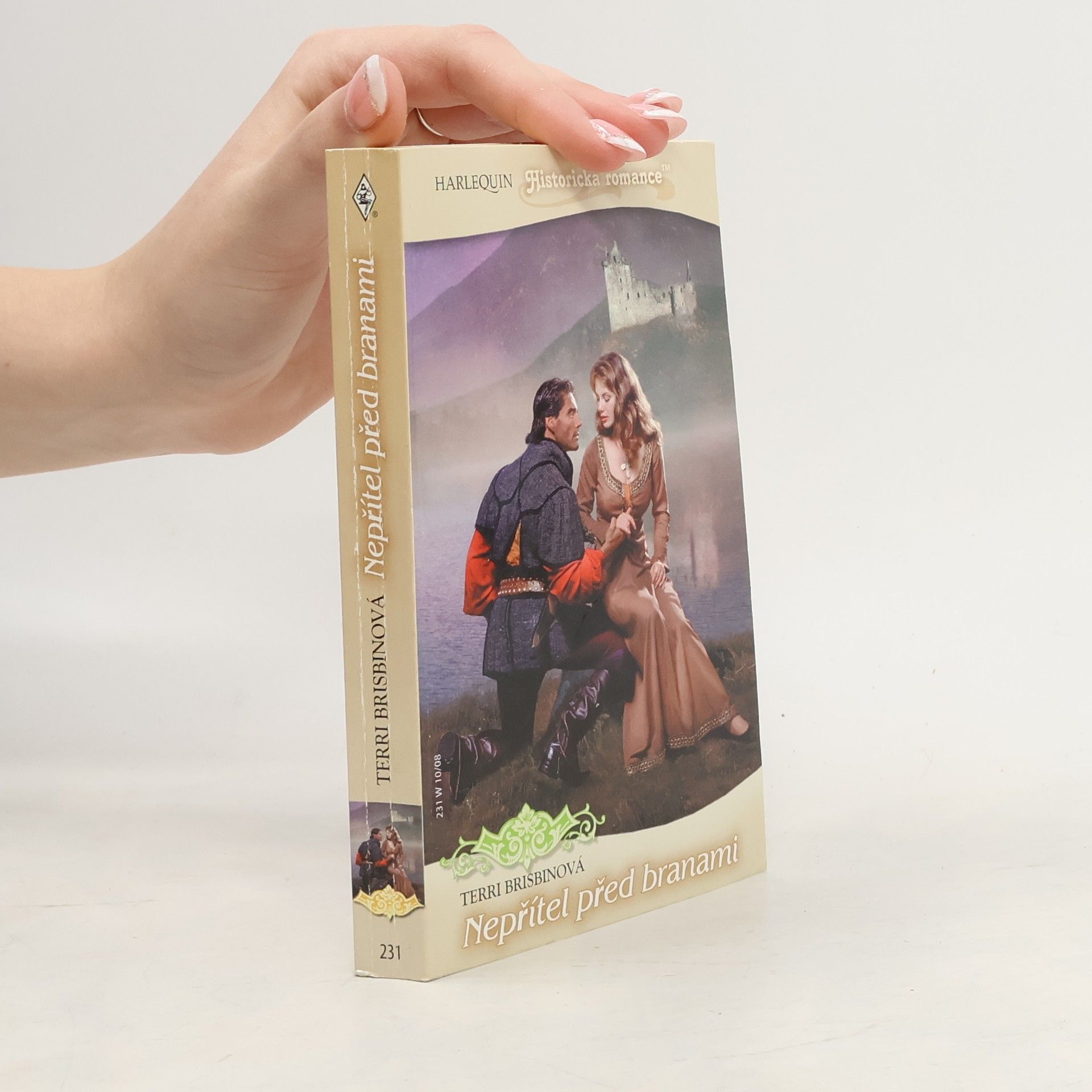 Nepřítel před branami