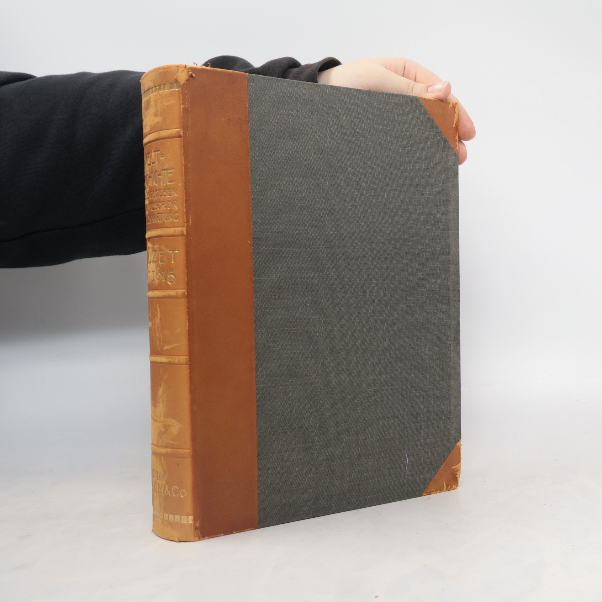 Weltgeschichte Die Entwicklung der Menschheit in Staat und Gesellschaft, in Kultur und Geistesleben. Geschichte der Neuzeit. Das nationale und soziale Zeitalter seit 1815