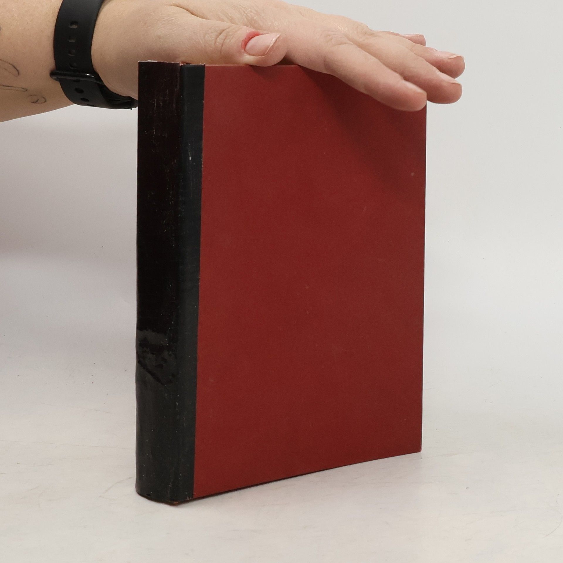 Die Geschichte einer Wienerischen Dirne