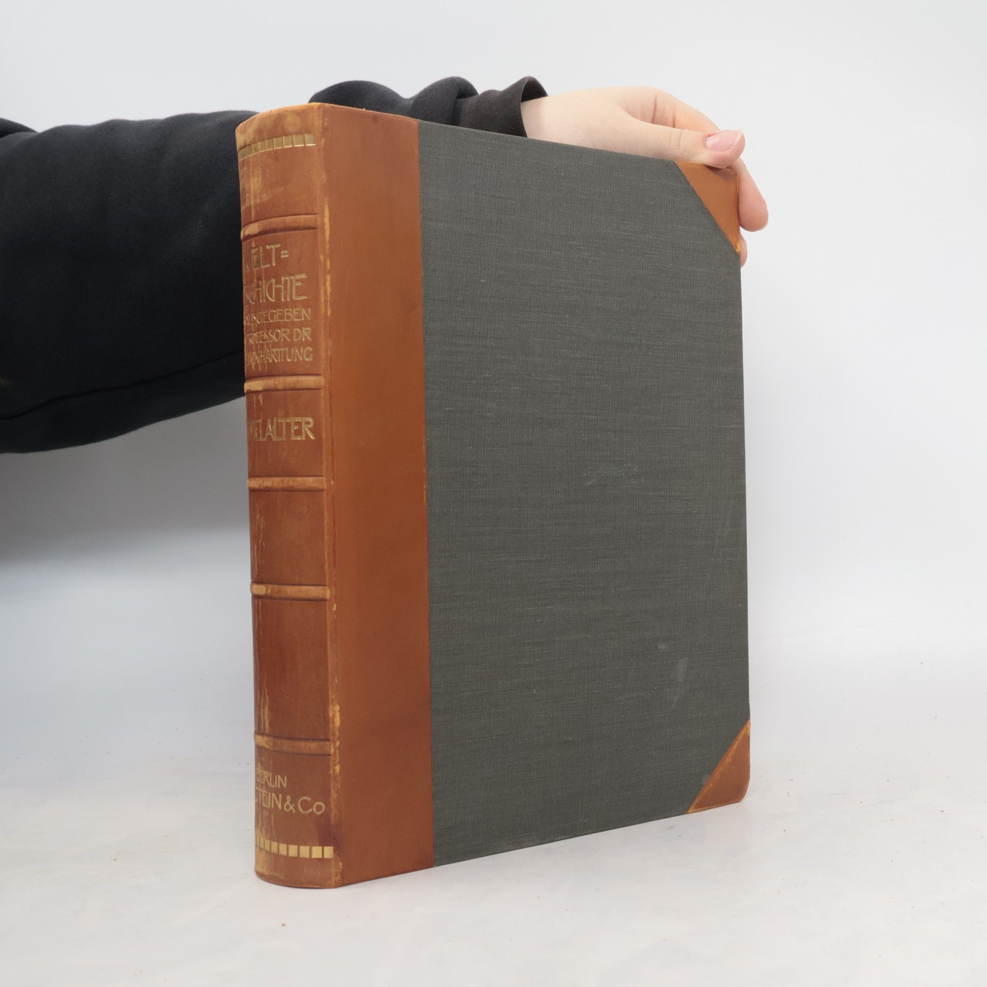 J. von Pflugk-Harttung Weltgeschichte