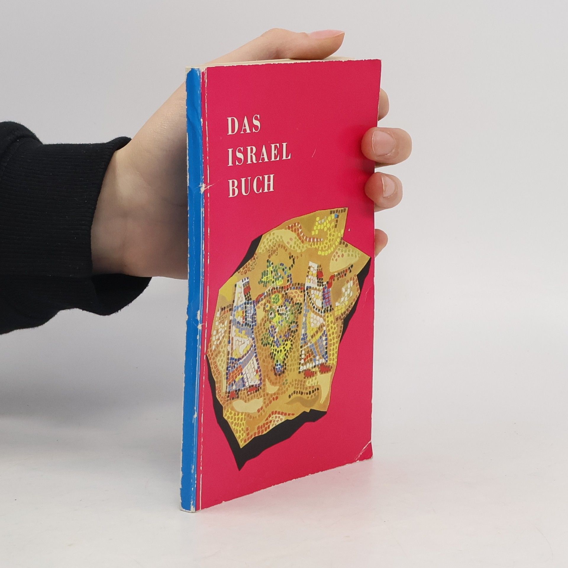 Autorenkollektiv Das Israel buch