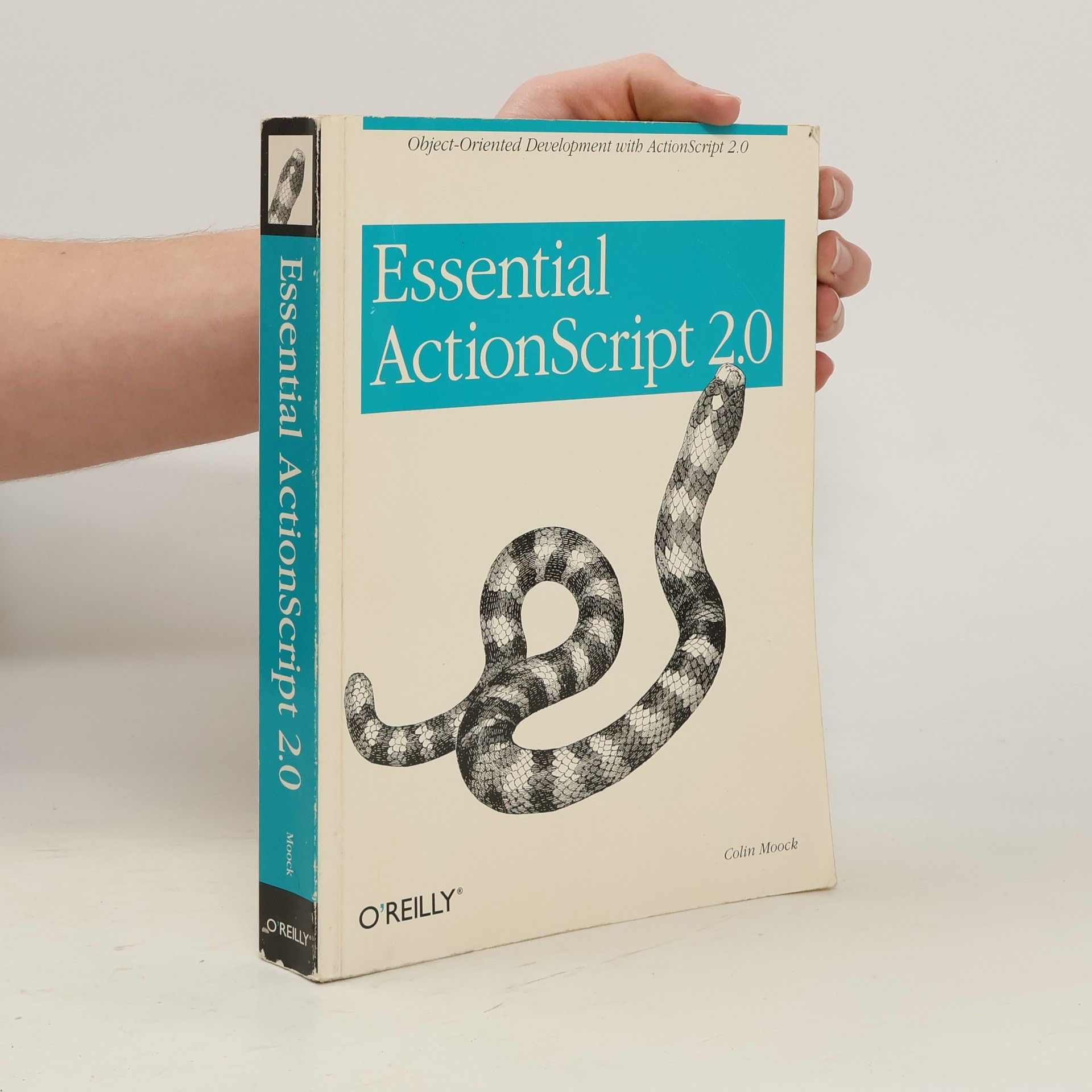 Essential ActionScript 2.0