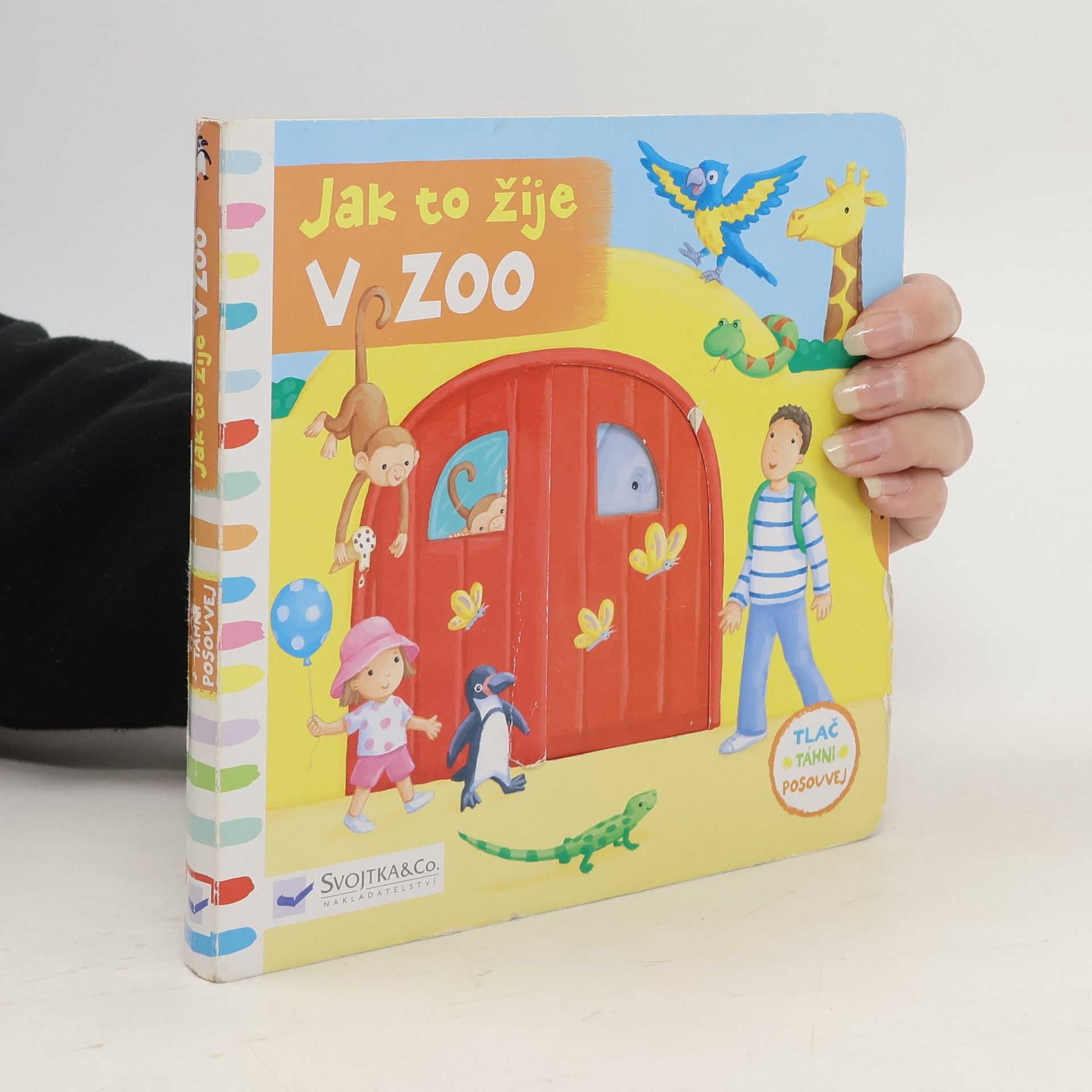 Rebecca Finn Jak to žije v zoo