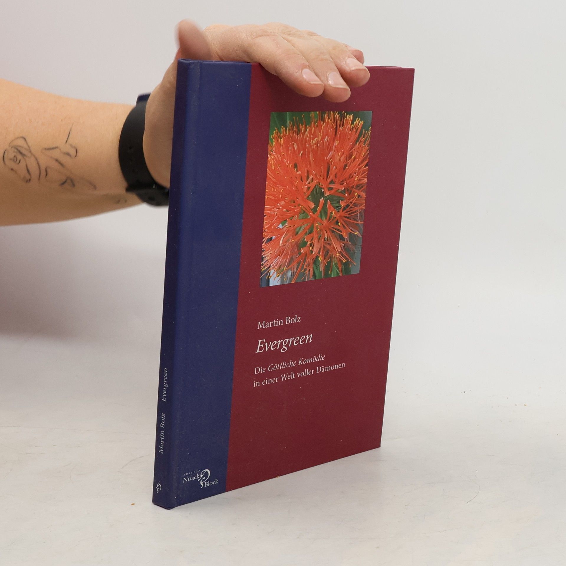 Martin Bolz Evergreen