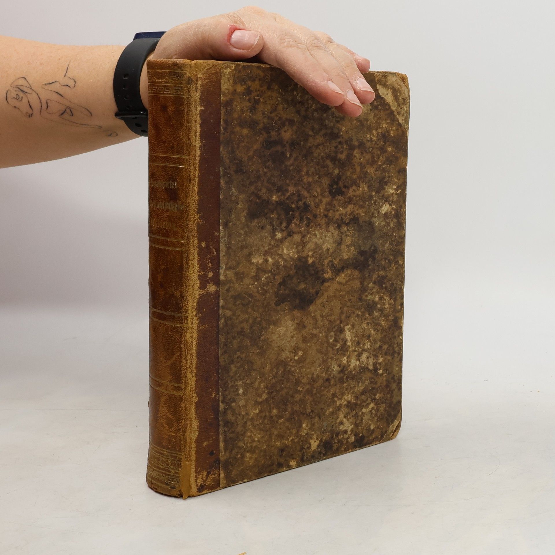 A. Rosengarten Die Architektonischen Stylarten