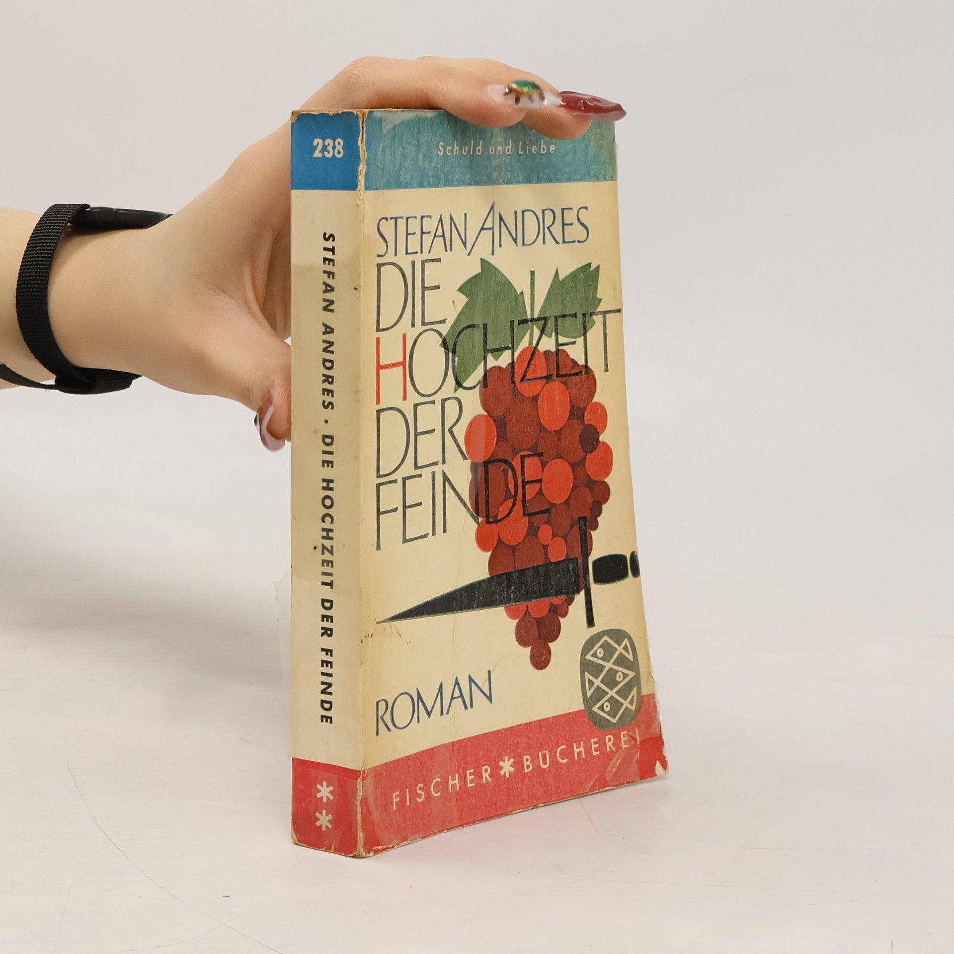 Stefan Andres Die Hochzeit der Feinde