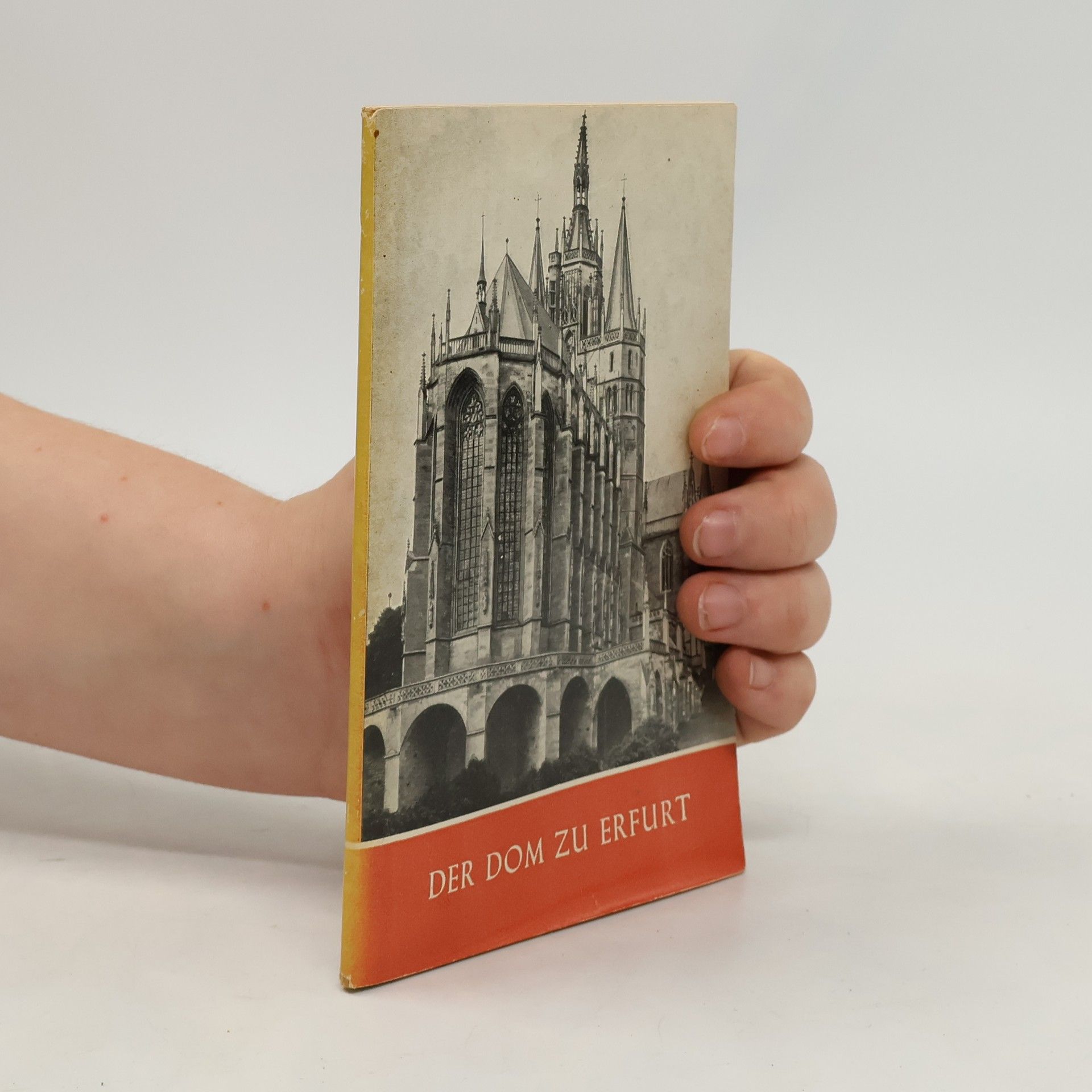 Auteurscollectief Der Dom zu Erfurt