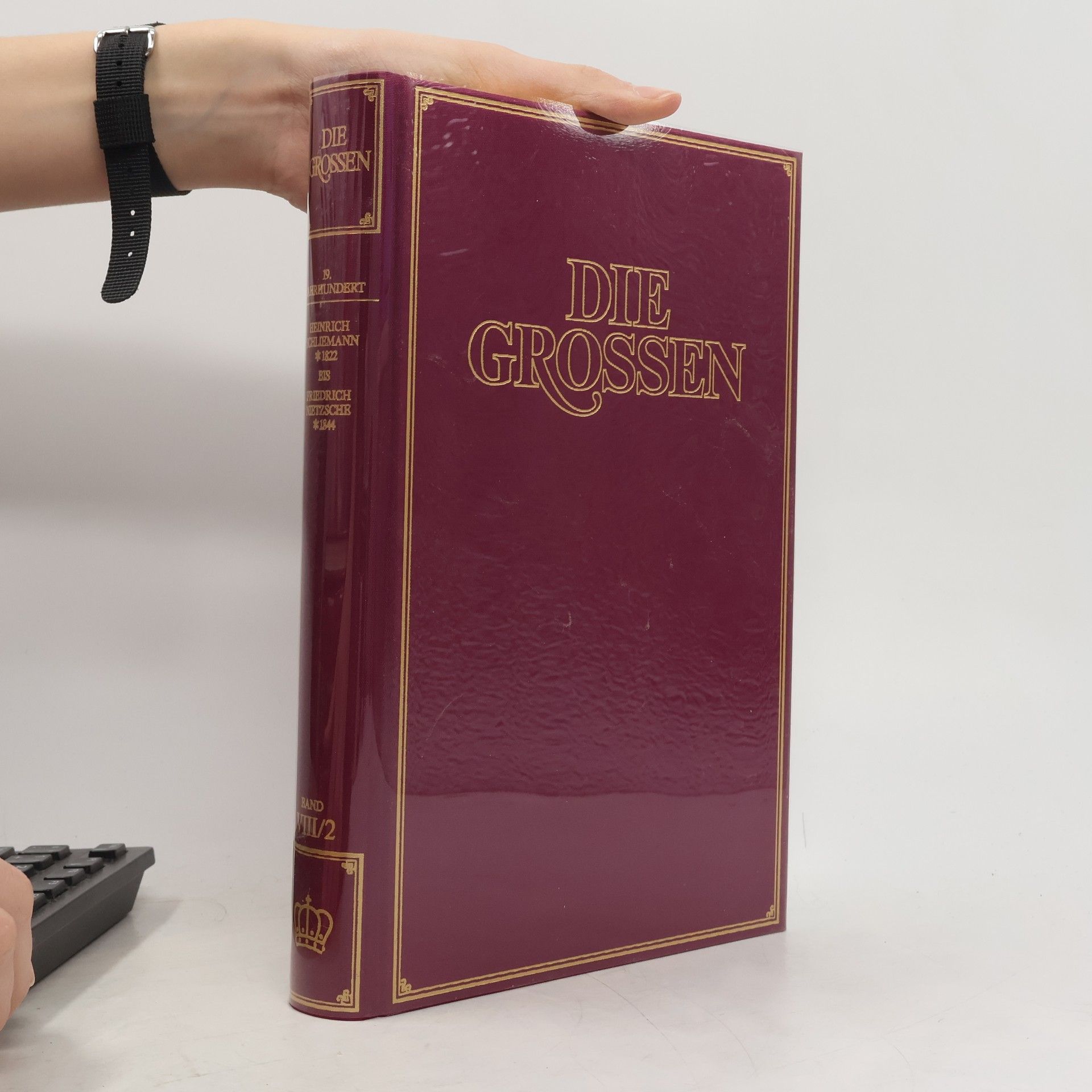 AA.VV. Die Grossen VIII/2