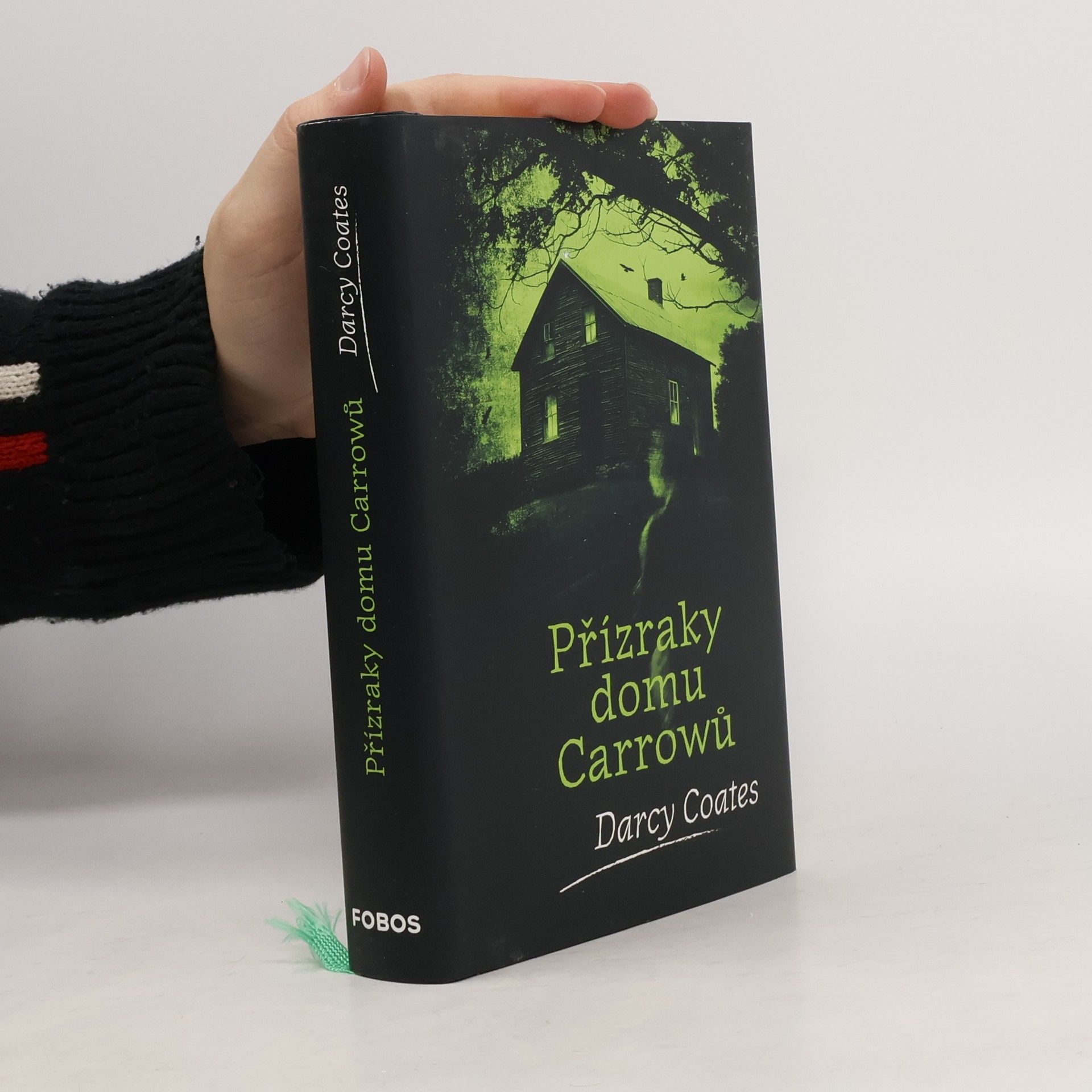 Darcy Coates Přízraky domu Carrowů