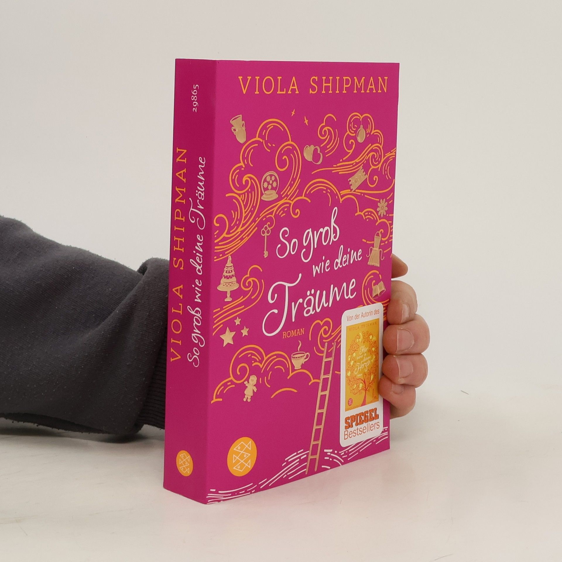 Viola Shipman So groß wie deine Träume