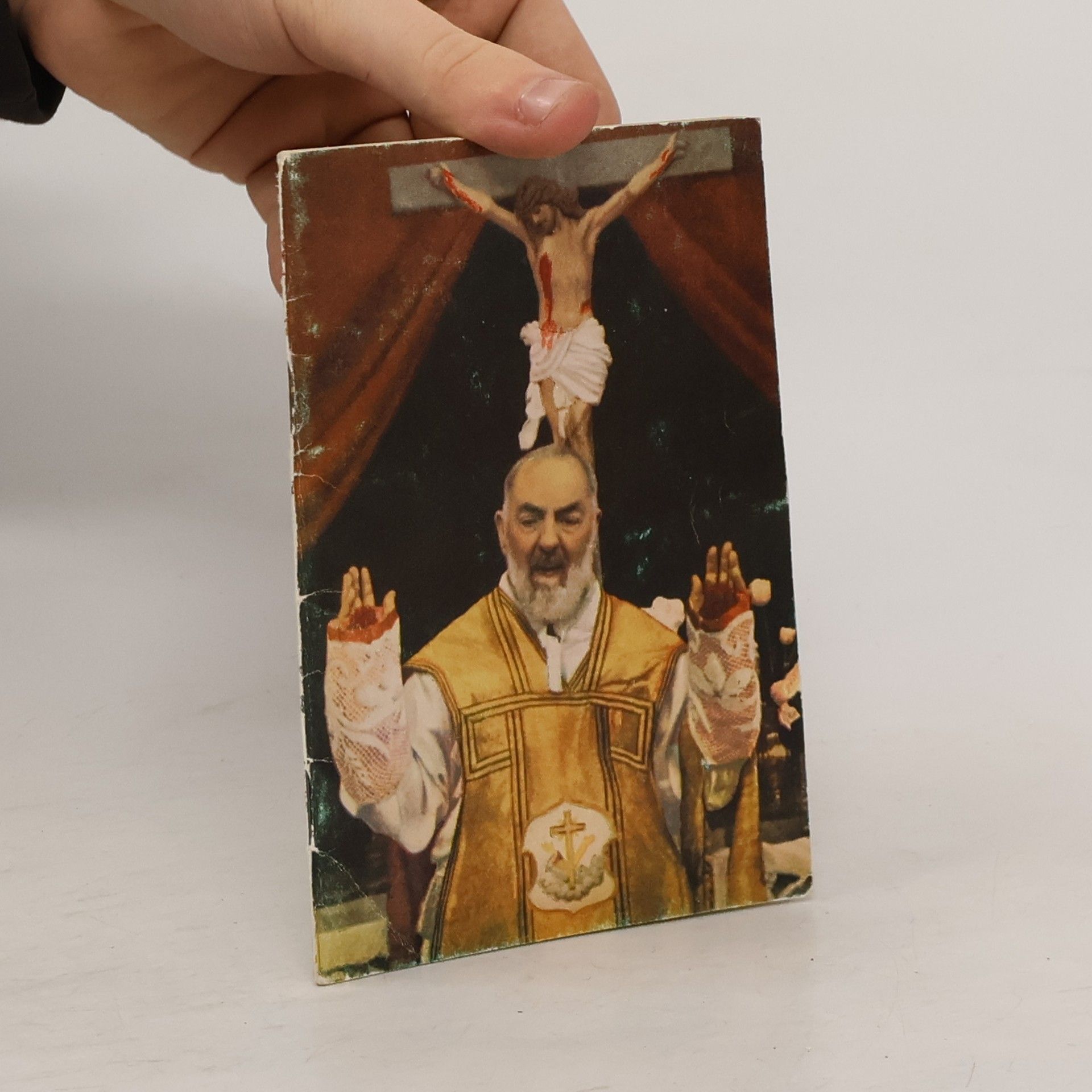 Kolektív autorov Informace o Otci Piovi