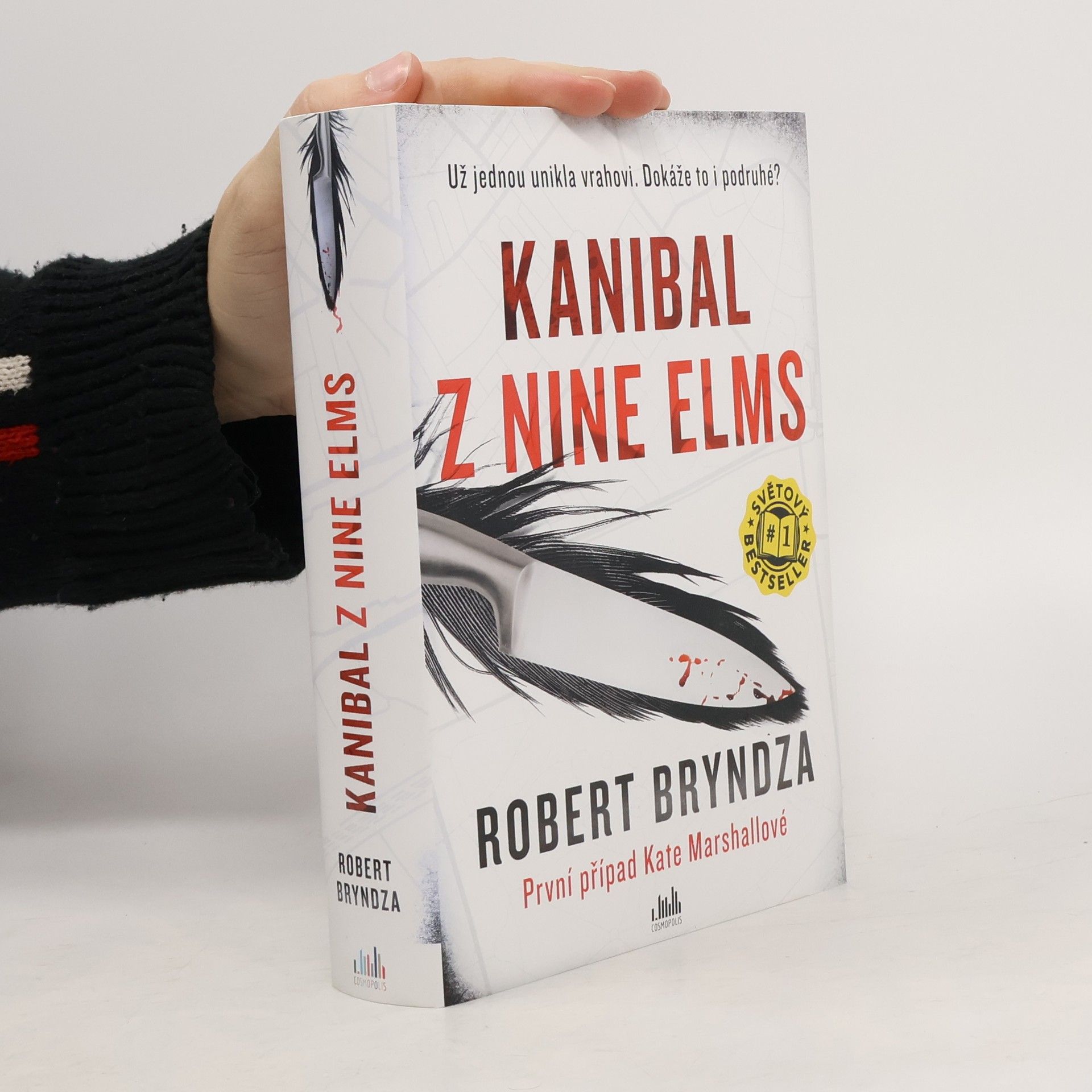 Robert Bryndza Kanibal z Nine Elms