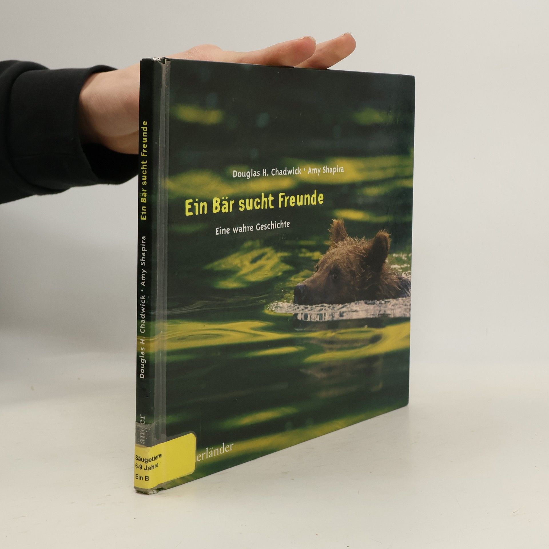 Ein Bär sucht Freunde