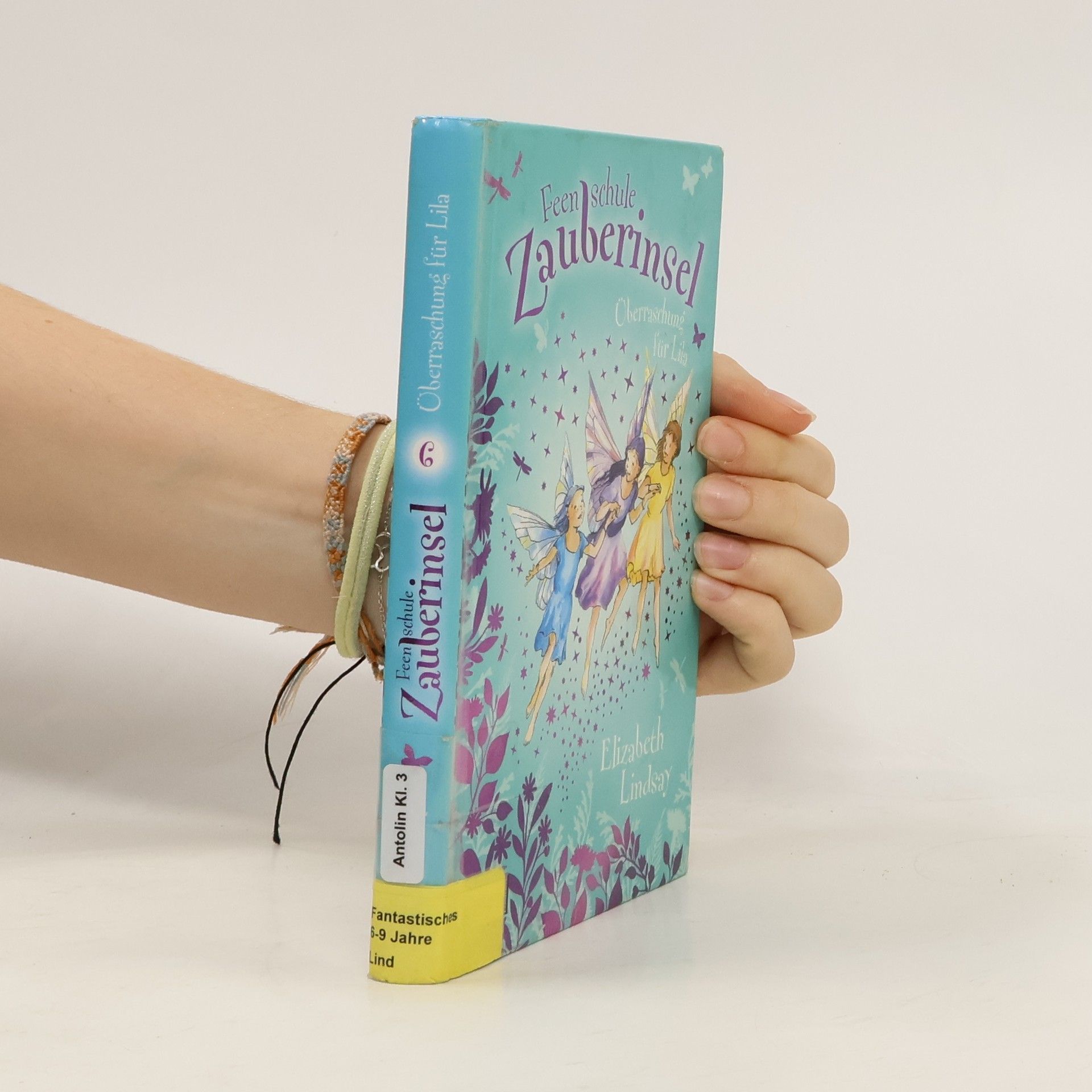 Feenschule Zauberinsel, Band 06