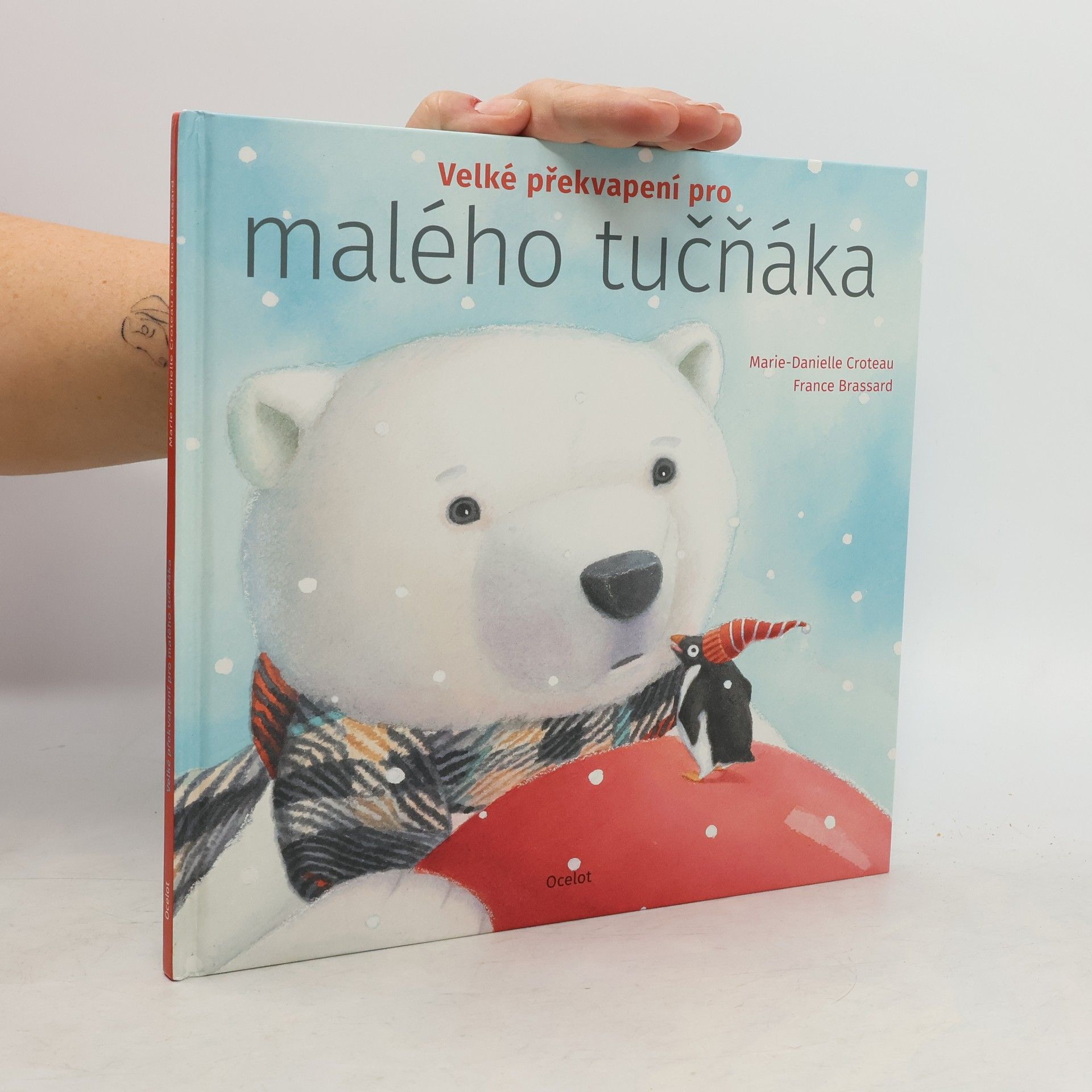 Velké překvapení pro malého tučňáka