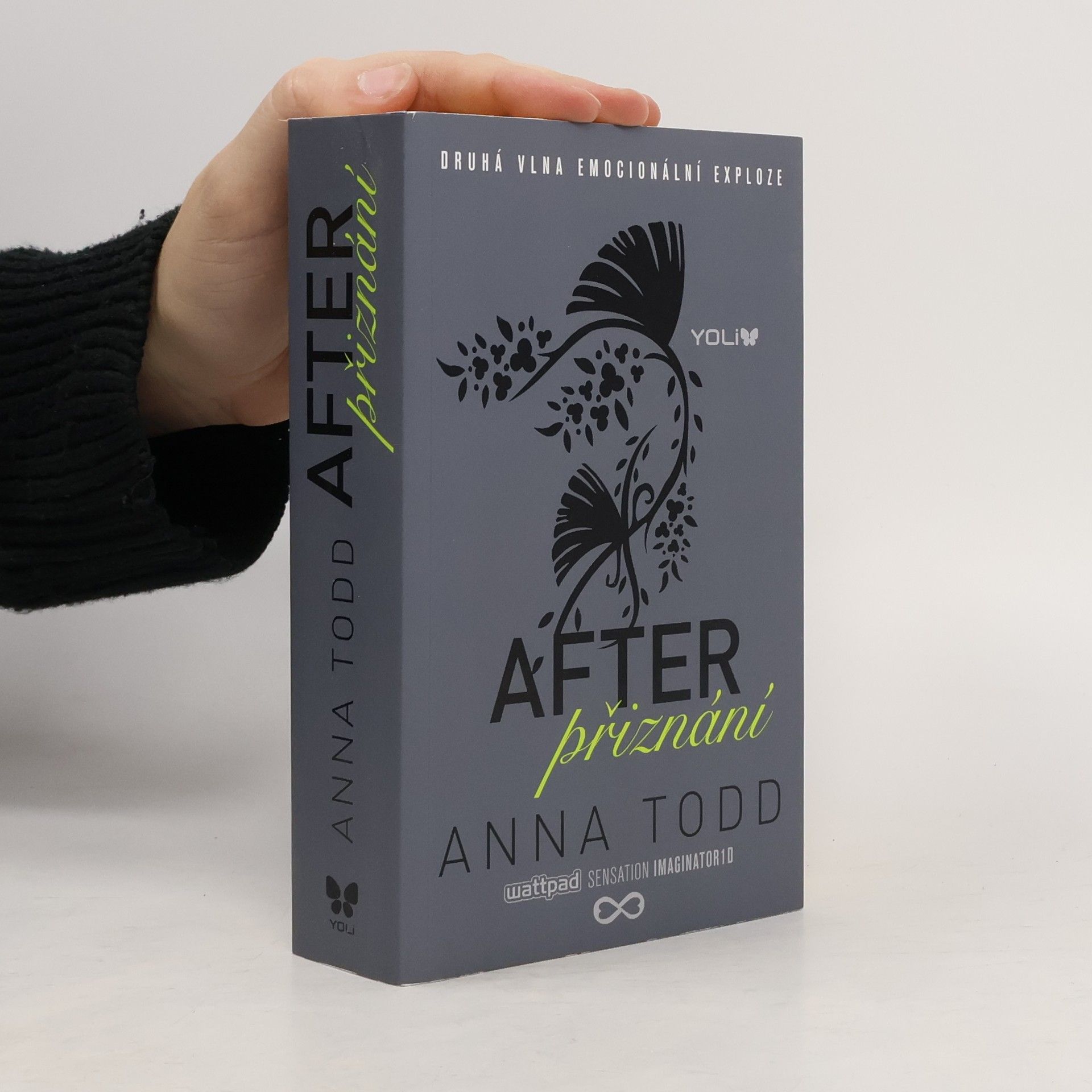 Anna Todd After. Přiznání