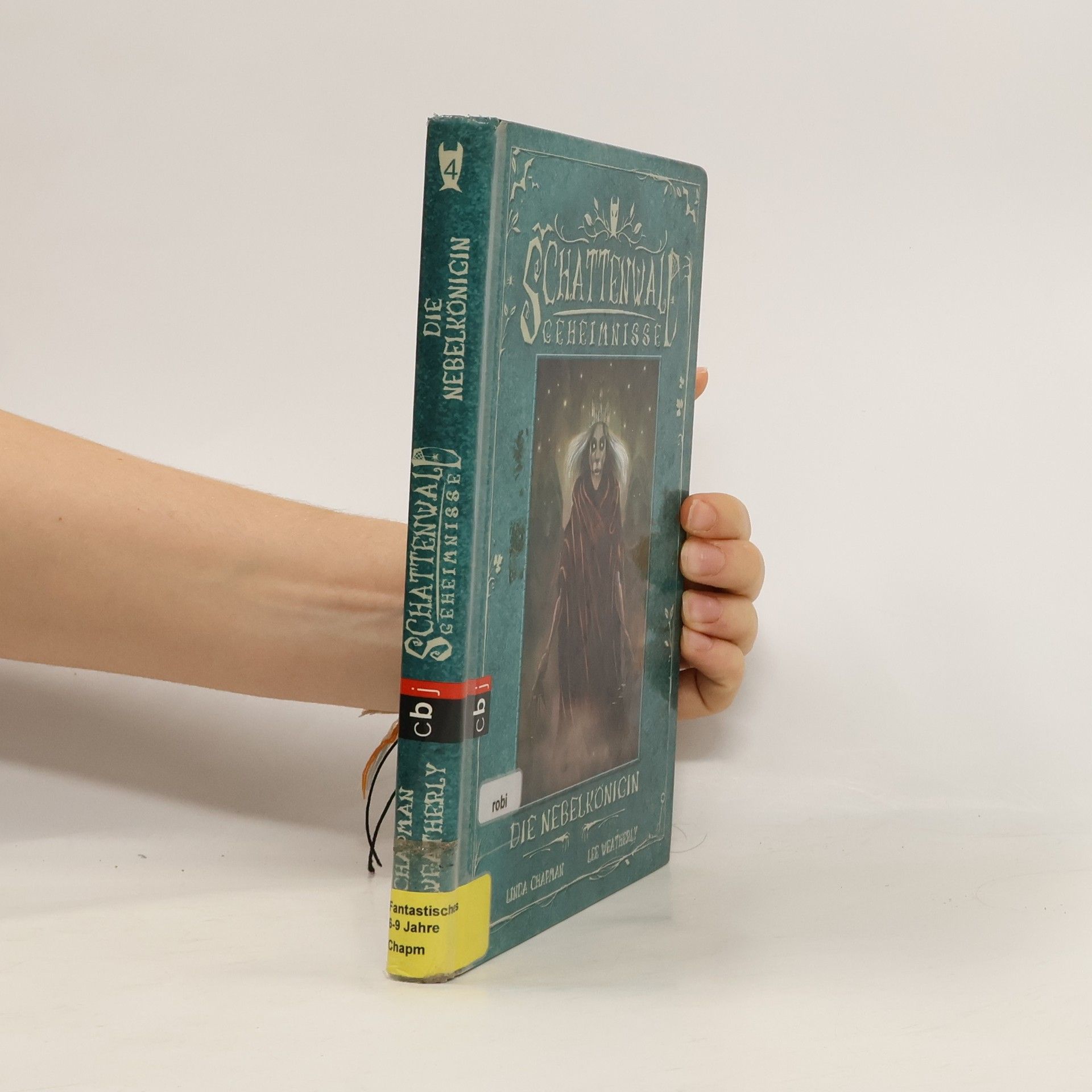 Linda Chapman Schattenwald-Geheimnisse - Die Nebelkönigin
