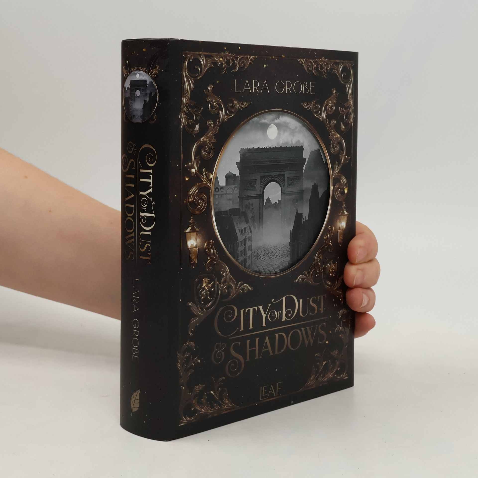 Lara Große City of Dust and Shadows